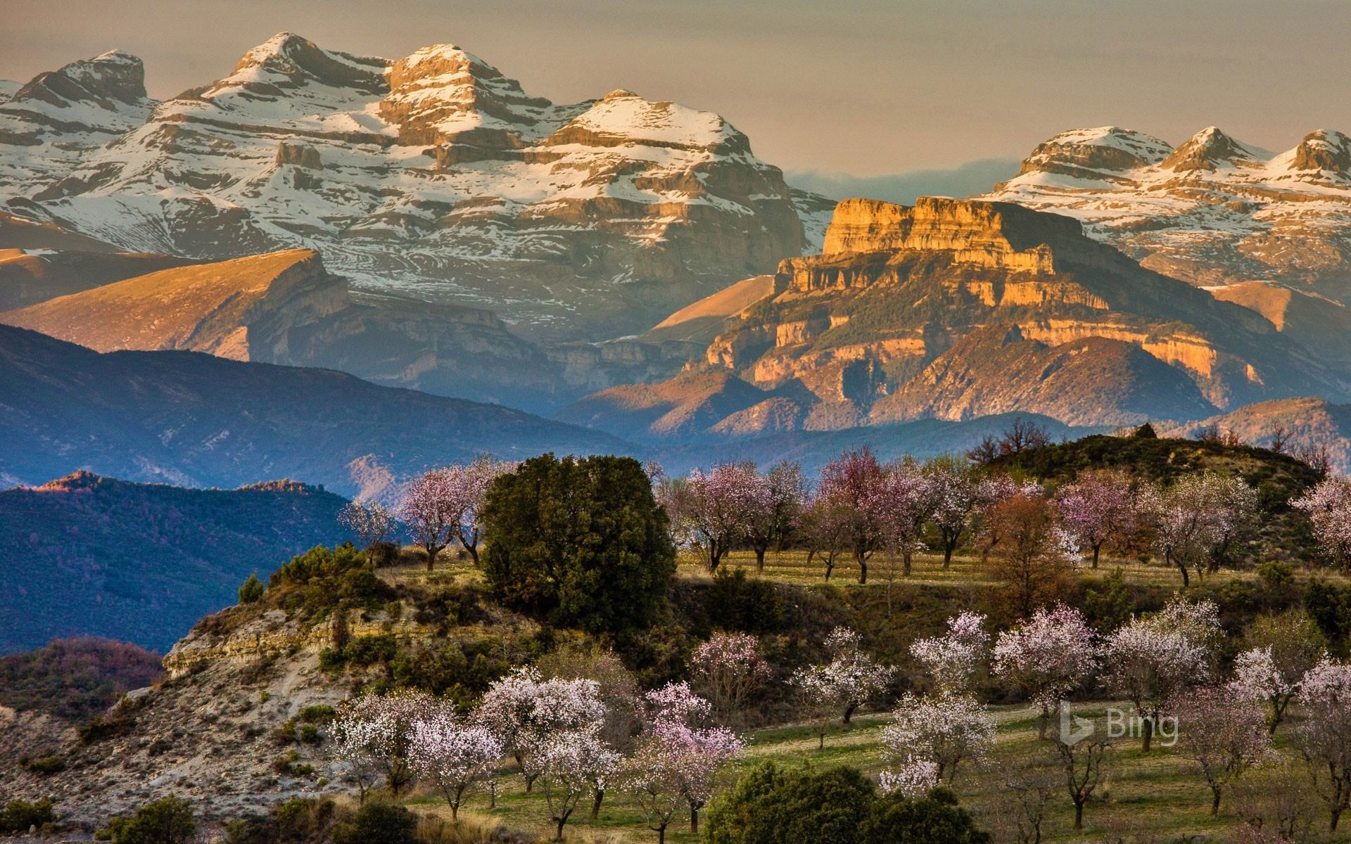 1920x1200 Springtime Near The Village Spain 2017 Bing Desktop Wallpaper