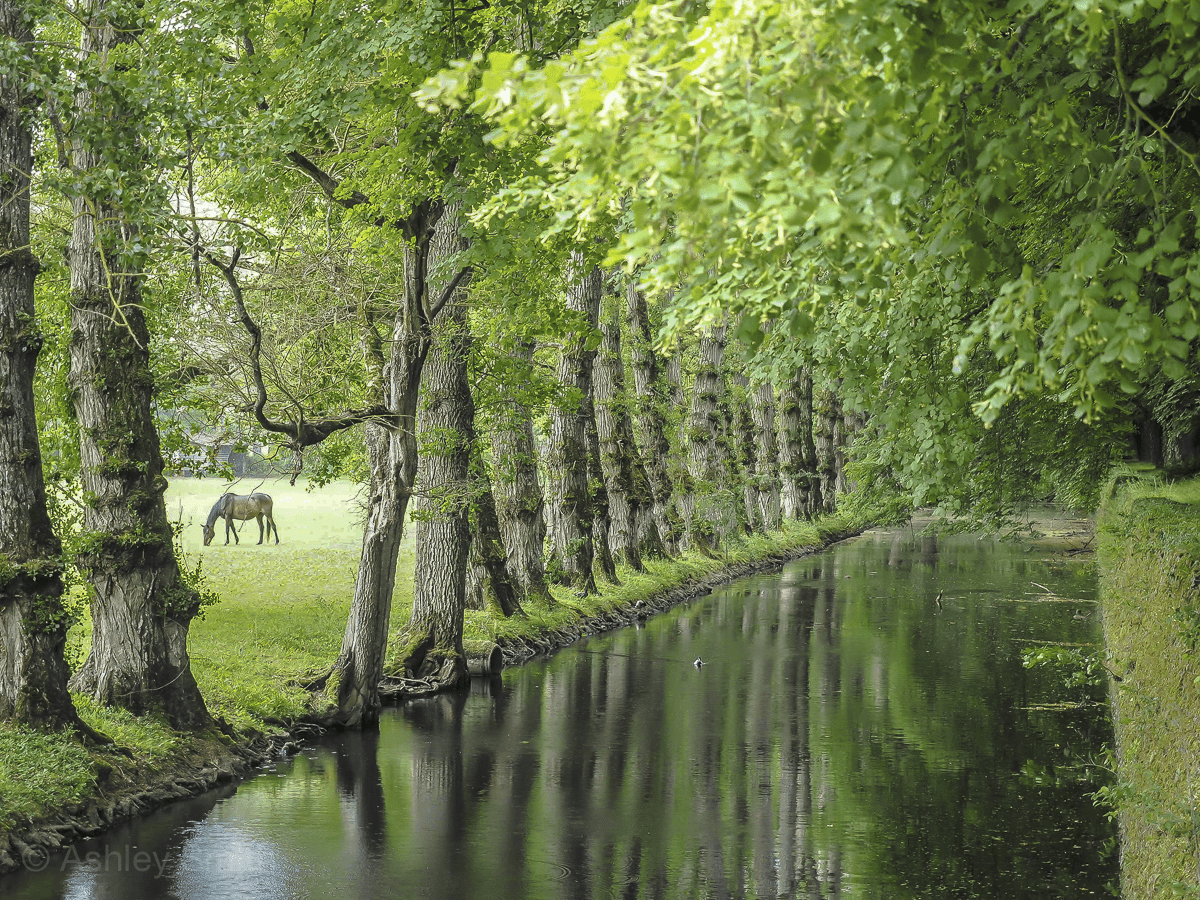 1200x900 France Tastic! Things To Do In The Loire Valley Region Of France