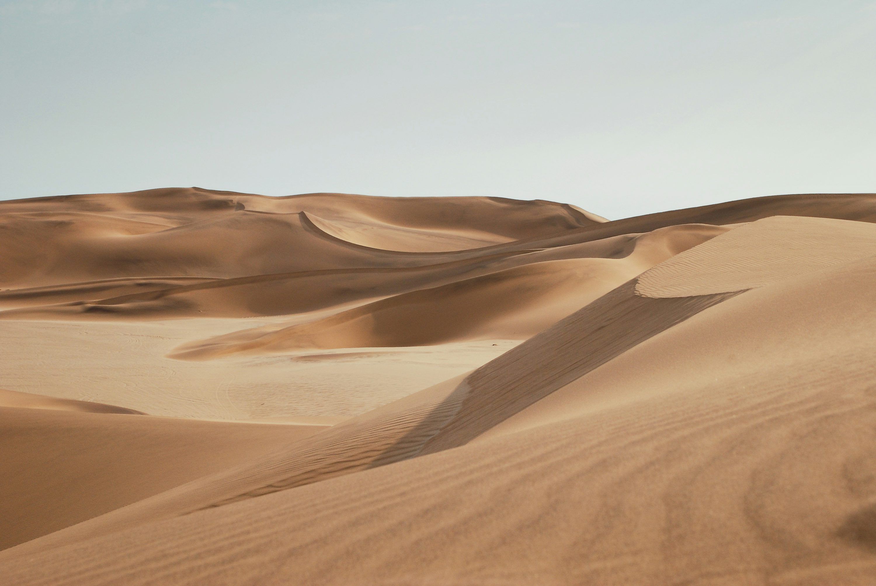3000x2008 Sand Dune Picture [HD]. Download Free Image
