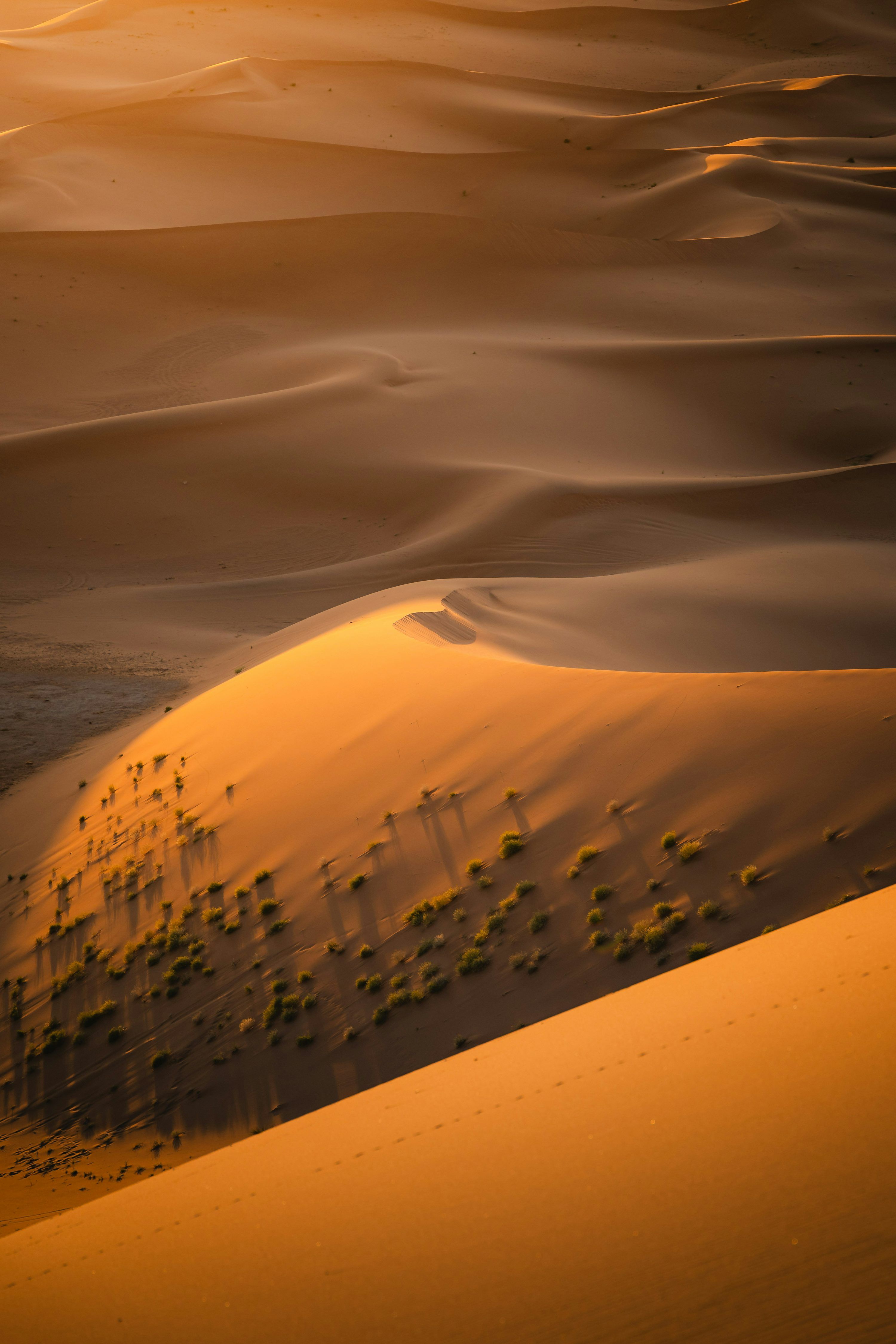 3000x4500 Golden sunlight bathes the vast desert sand dunes. photo