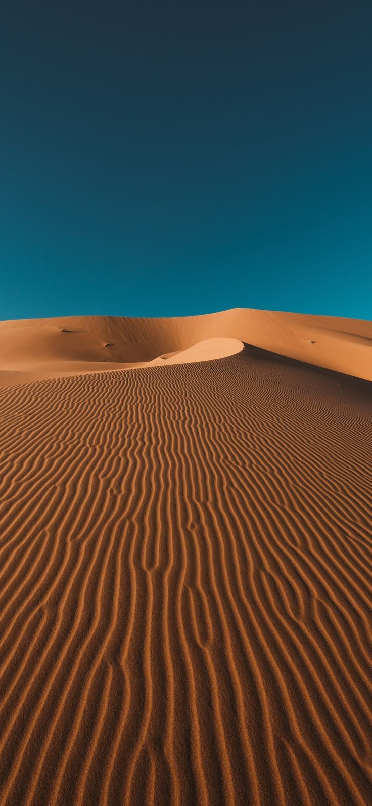 736x1593 Sand Dunes