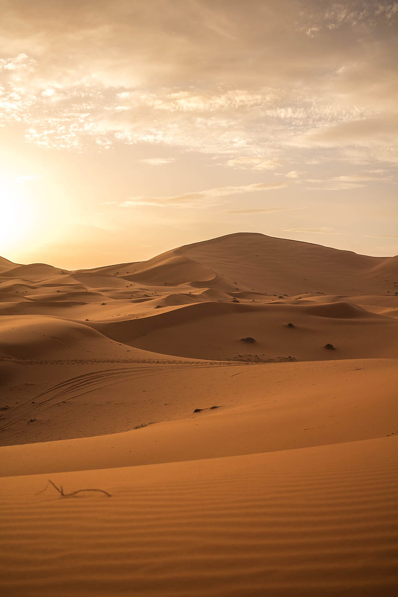 800x1200 Desert, sand, dunes, horizon, HD phone wallpaper