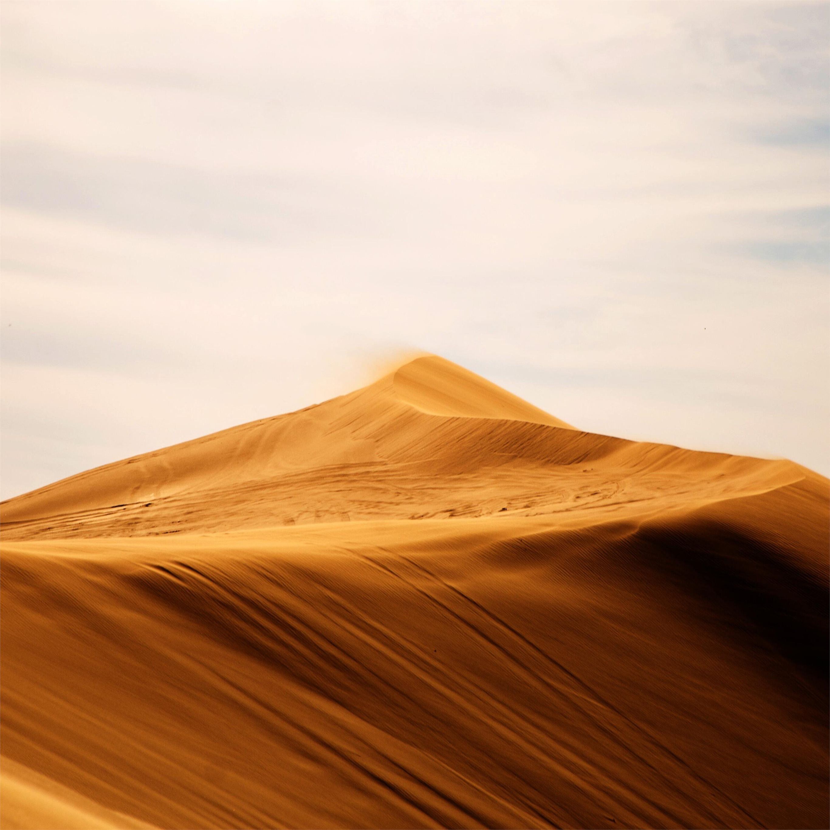 2732x2732 sand dunes landscape 4k iPad Pro Wallpaper Free Download
