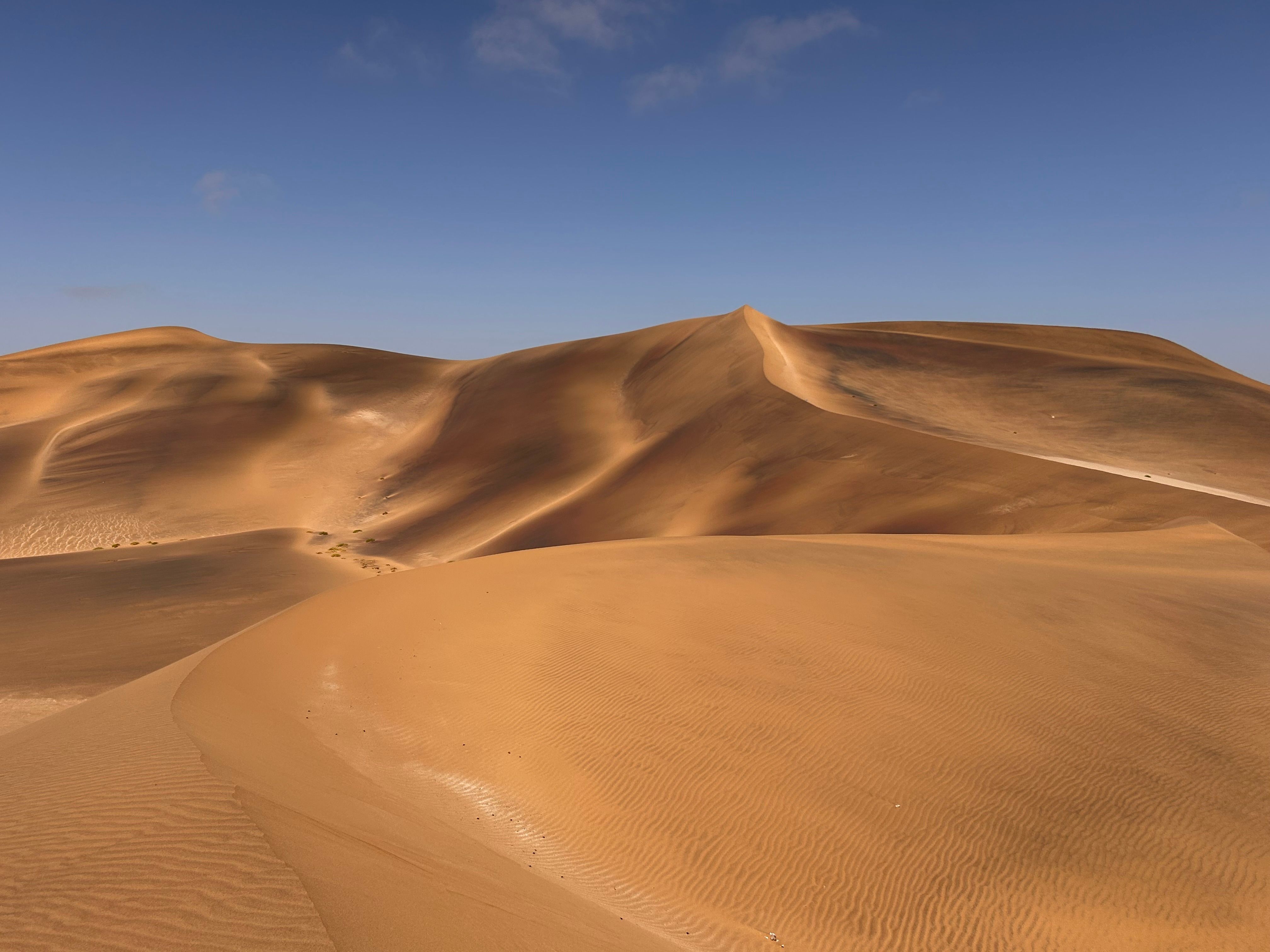 4032x3024 Desert Dunes Photo, Download The BEST Free Desert Dunes & HD Image