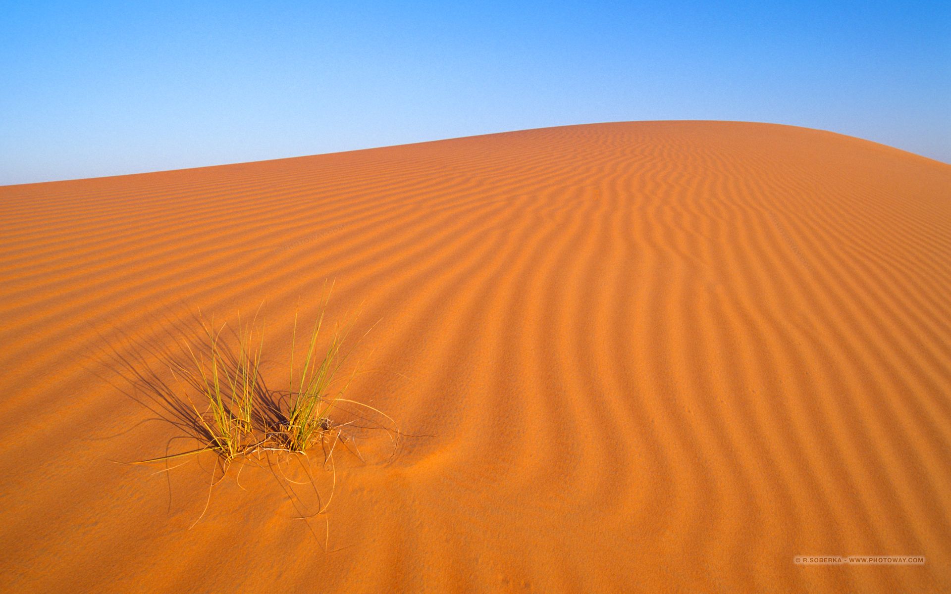 1920x1200 Dune Wallpaper in the desert of Unites Arab Emirates