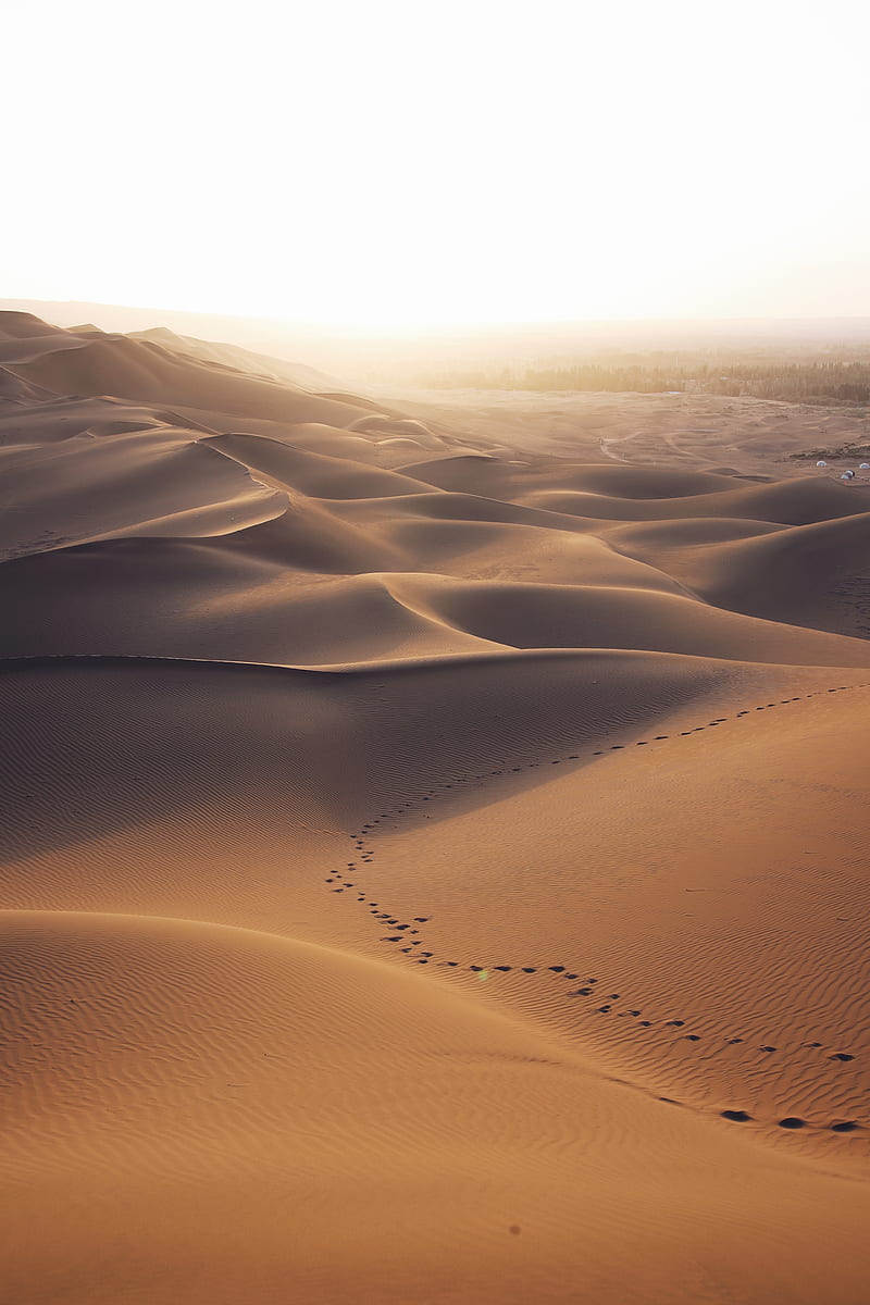 800x1200 Desert, dunes, sand, traces, landscape, HD phone wallpaper