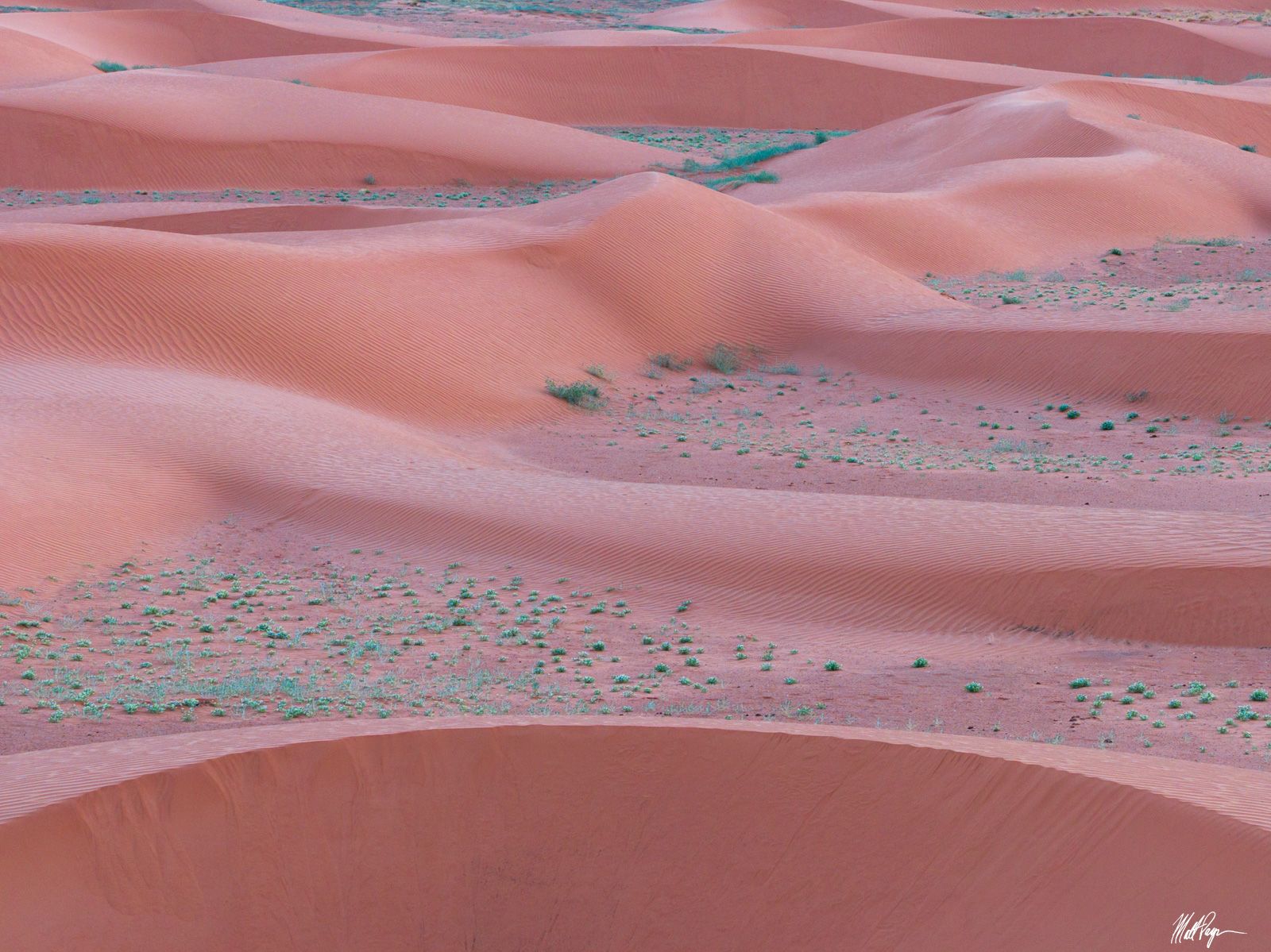 1600x1199 Sand Dunes and Desert Vegetation