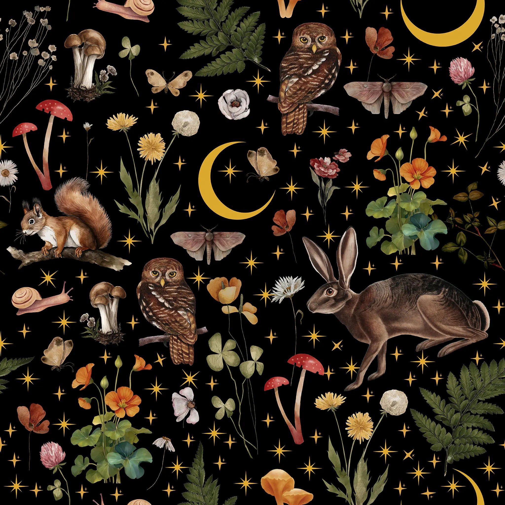 2048x2048 Mystery Forest Wallpaper