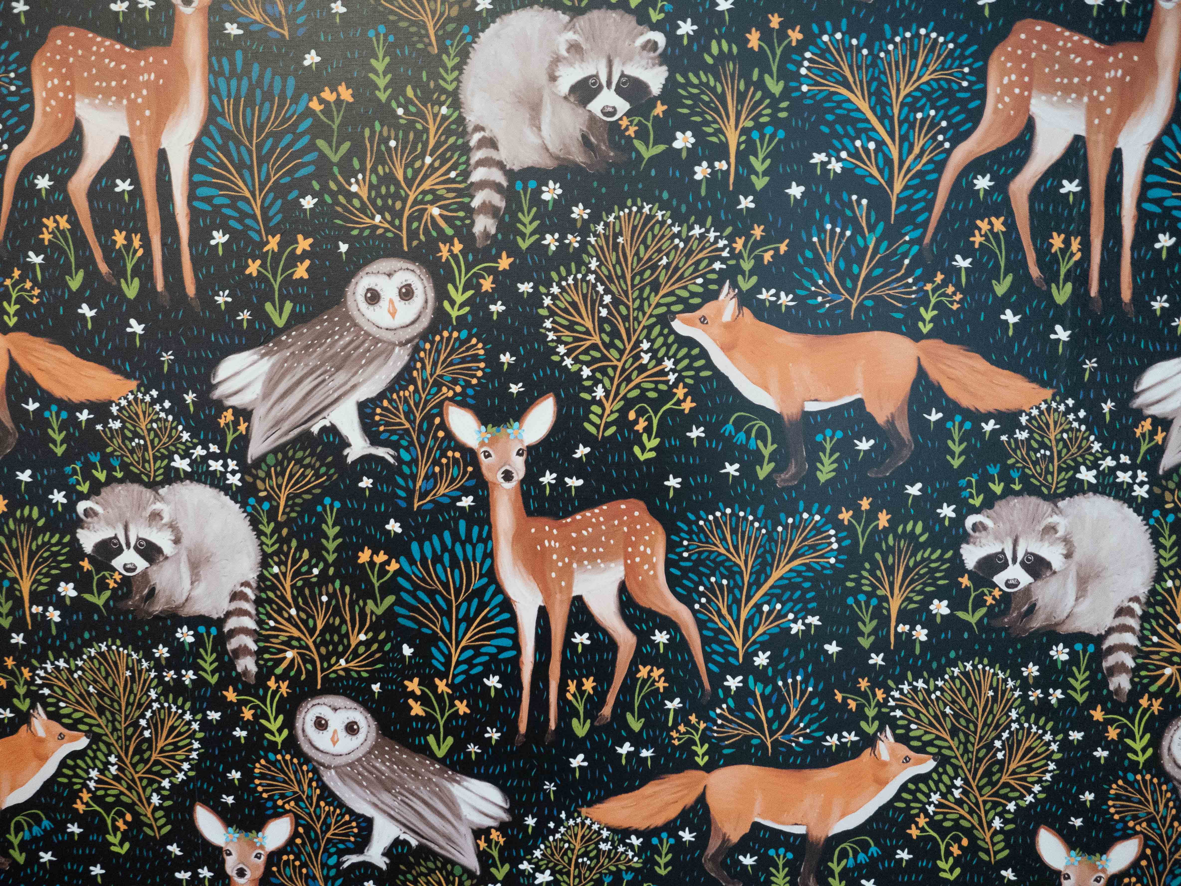 4736x3552 Forest Creatures!