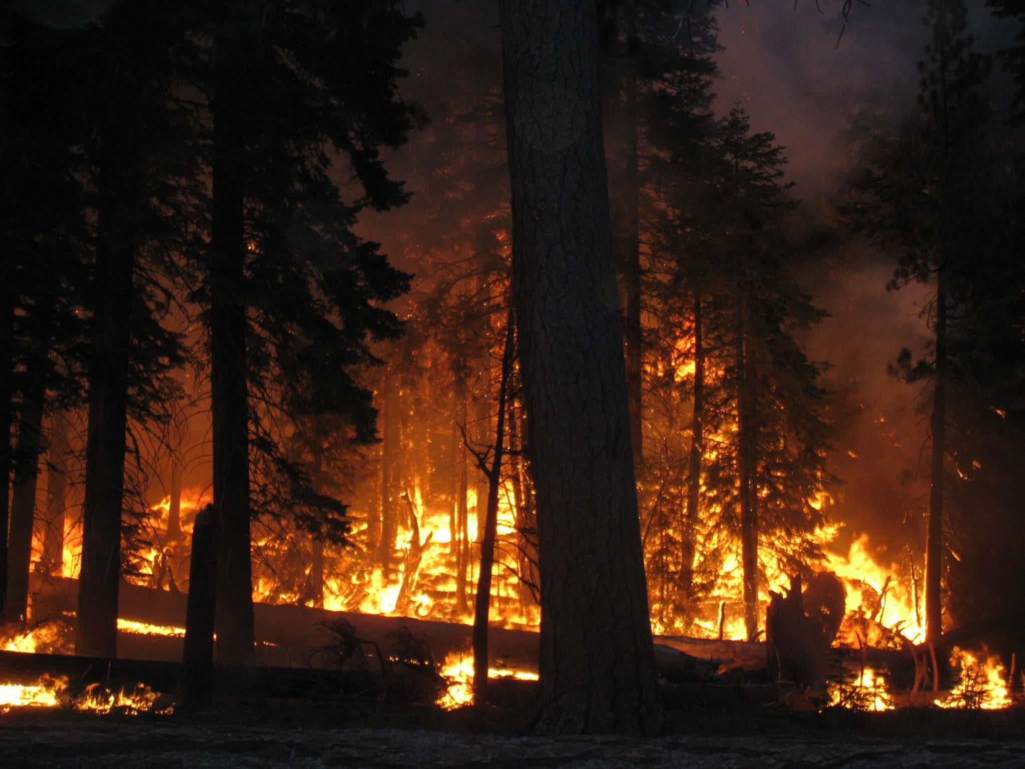 2048x1536 Five things to know about wildland fire management State News
