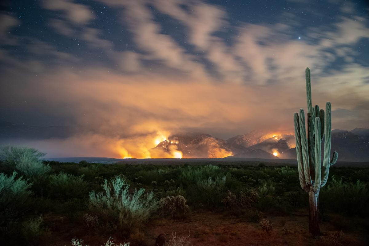1200x800 A Fiery Future: Learning From the Bighorn Fire