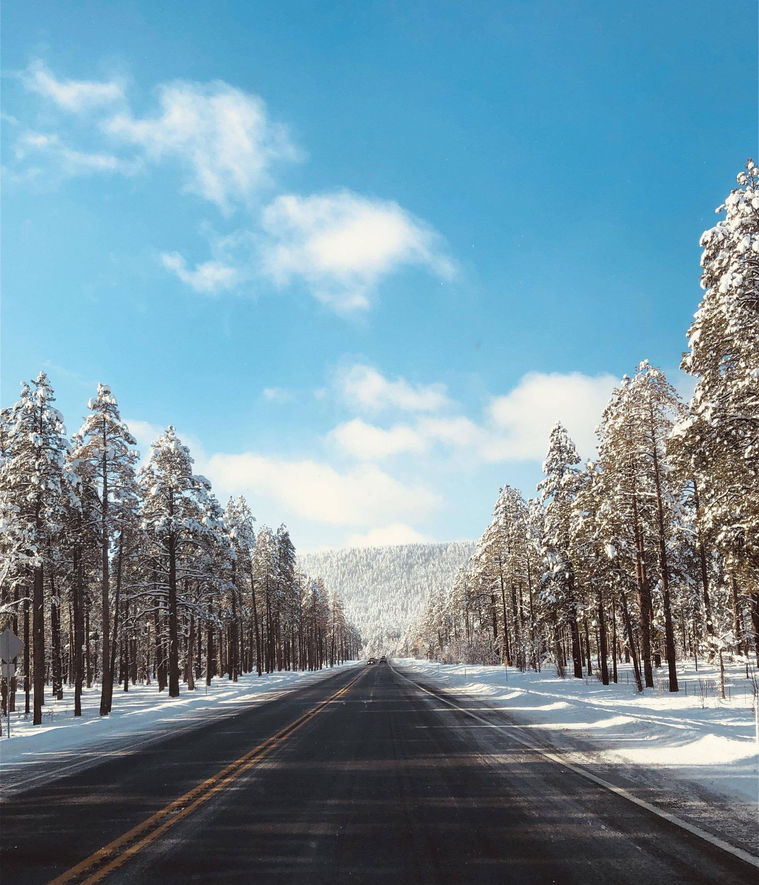 2419x2821 Hwy 89A outside Flagstaff Arizona in winter