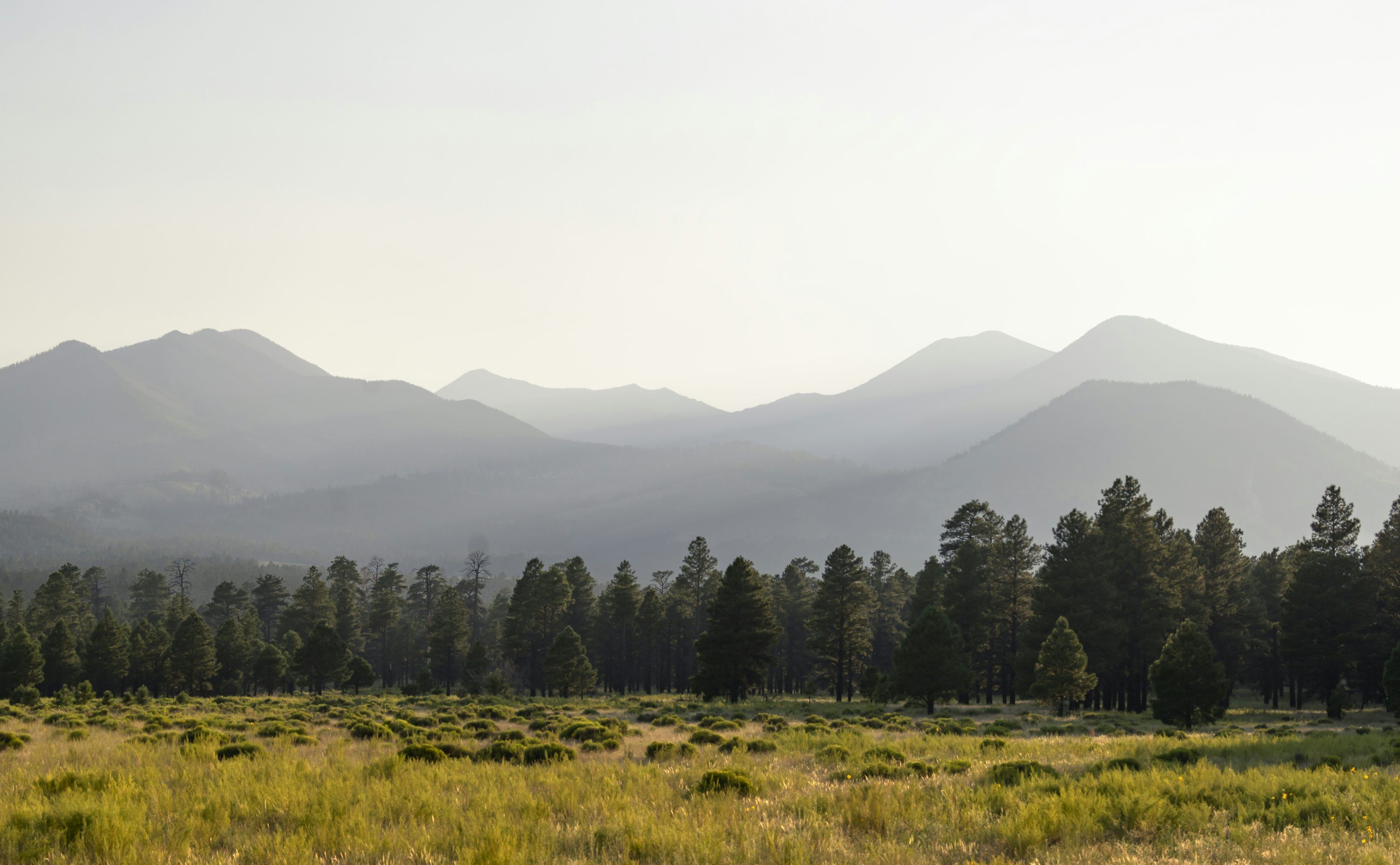 3000x1854 Flagstaff Arizona Picture. Download Free Image