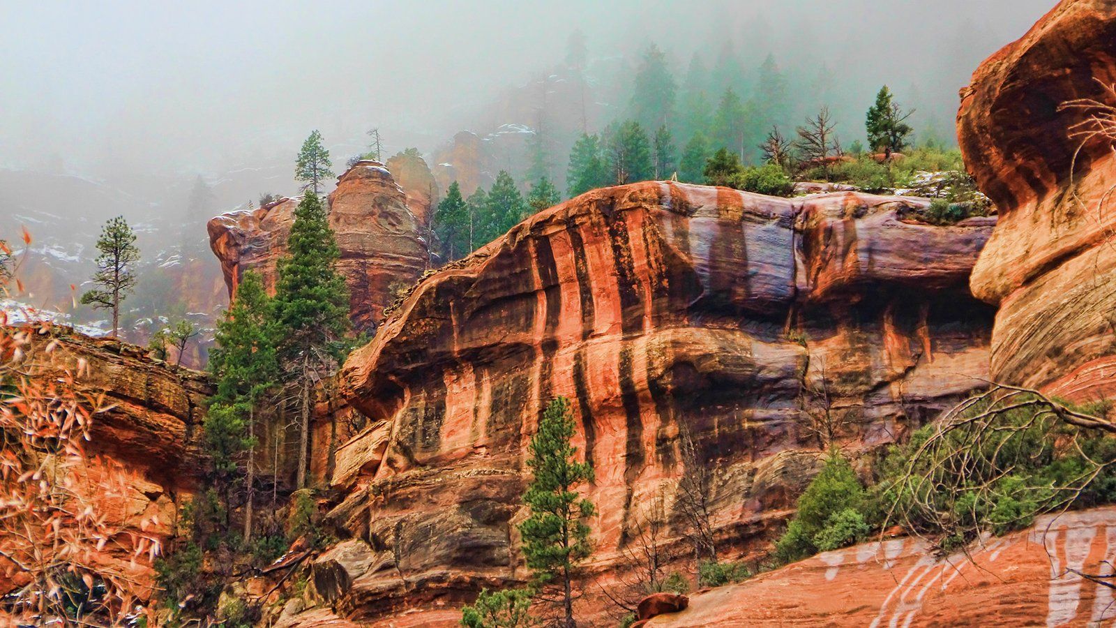 1600x900 Oak Creek Canyon In Northern Arizona Scenic Beauty Photo Wallpaper HD 2560x1440 :