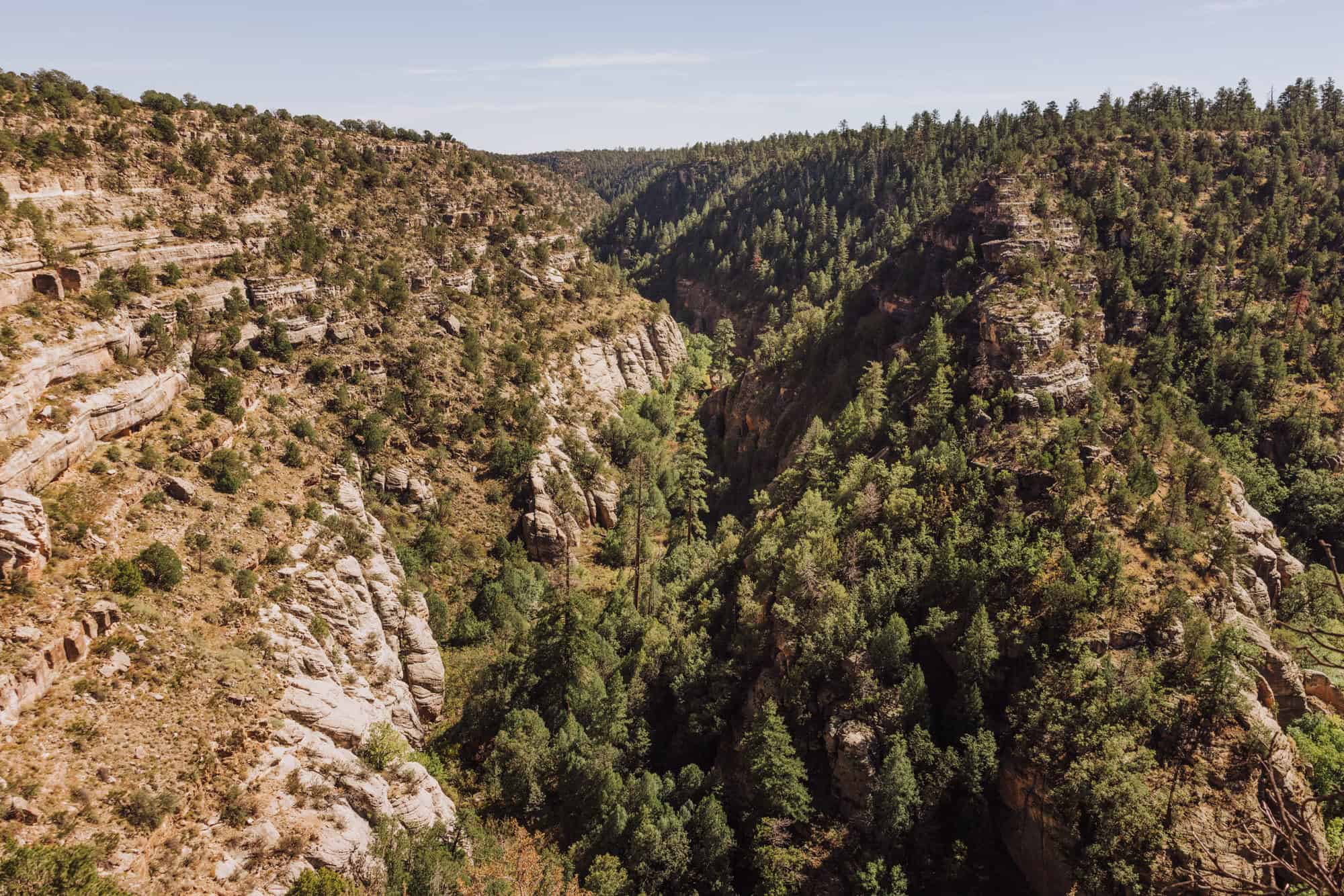 2000x1334 Walnut Canyon National Monument: Explore Ancient Life in the Cliffs