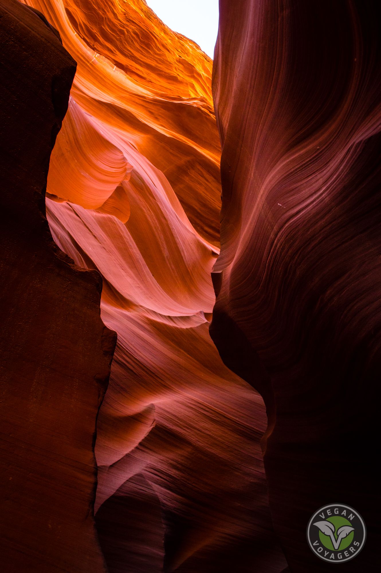 1330x2000 Northern Arizona