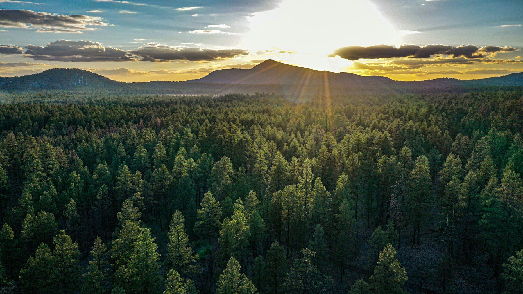 1800x1013 National Forest Foundation and SRP Partner to Improve Watershed and Forest Health in Northern Arizona