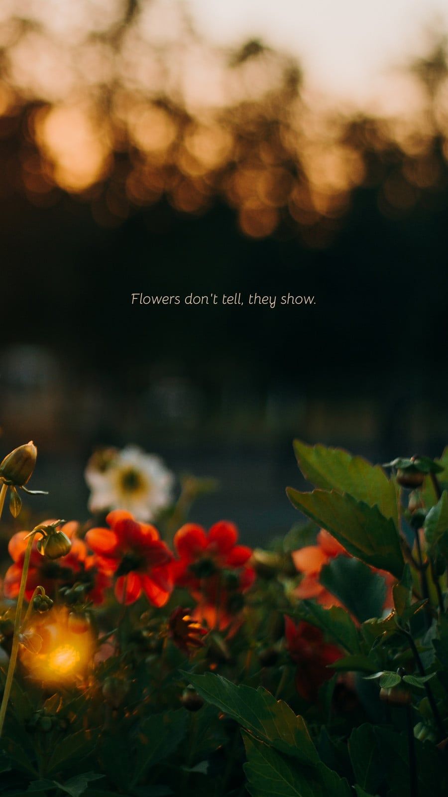 900x1600 Free custom motivational phone wallpaper templates