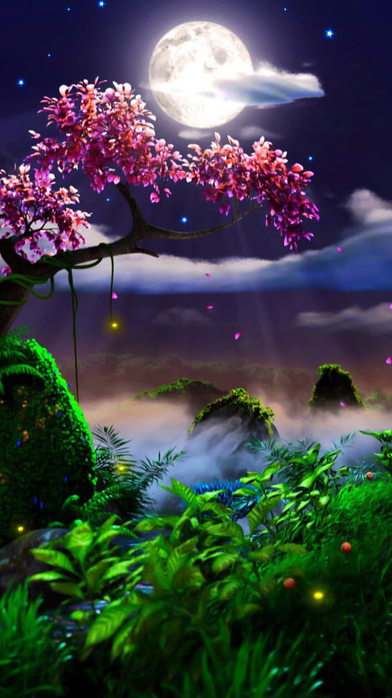 800x1422 HD moon tree nature wallpaper