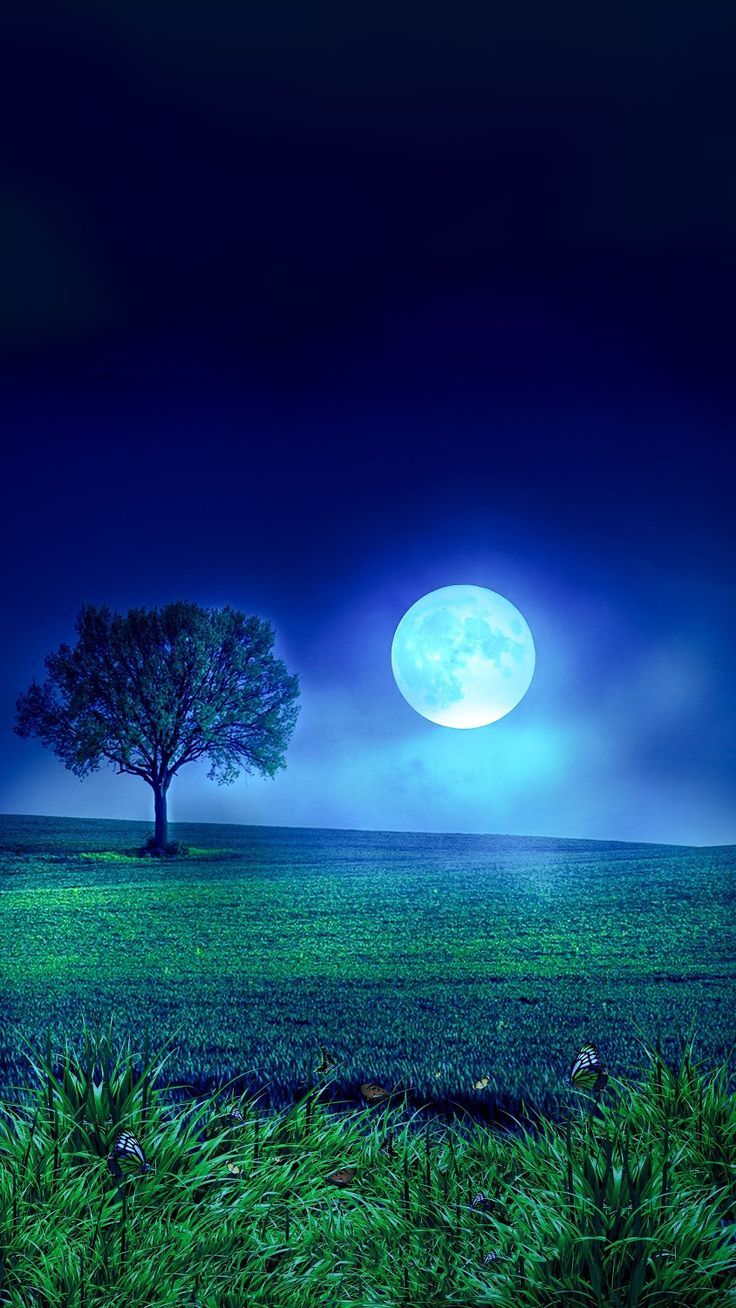 736x1308 Beautiful Nature Wallpaper with Full Moon. Moonlight background hd, Moon and forest wallpaper hd, Moonlight