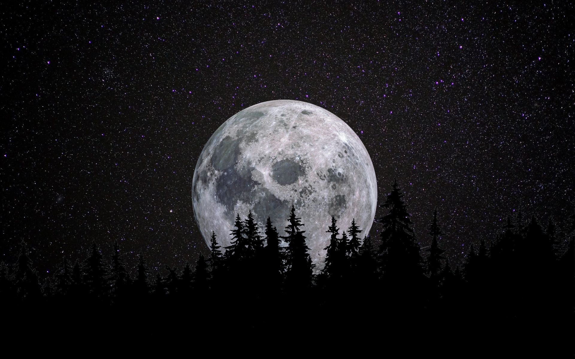 1920x1200 Full moon Wallpaper 4K, Forest, Night, Dark, Starry sky