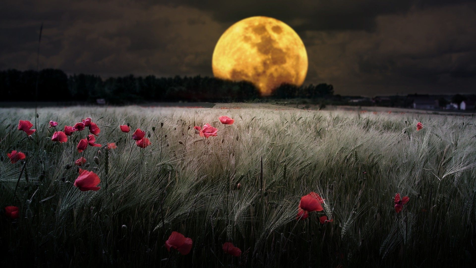 1920x1080 nature, Moon Wallpaper HD / Desktop and Mobile Background