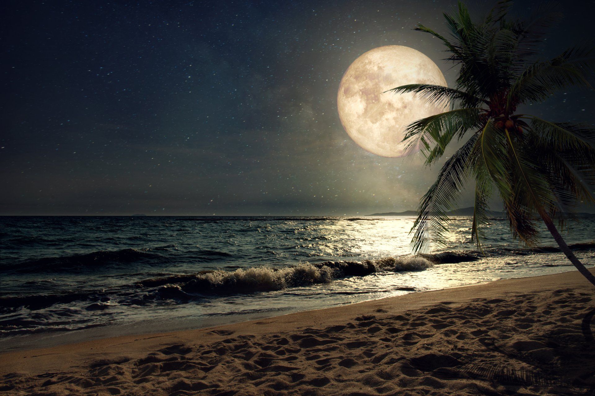 1920x1280 Moonlit Serenity: Nature's 4K Ultra HD Nightscapex3931