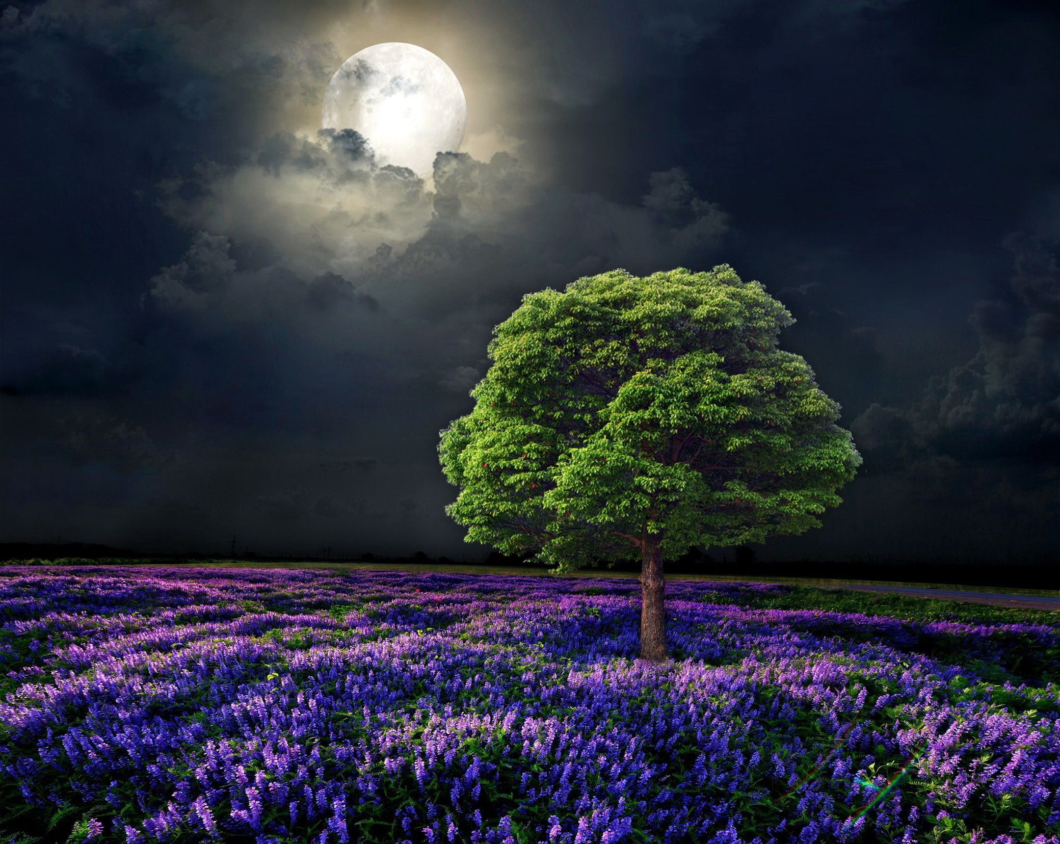 2160x1720 Wallpaper moon, field, nature, night, tree for mobile and desktop, section природа, resolution 2160x1720