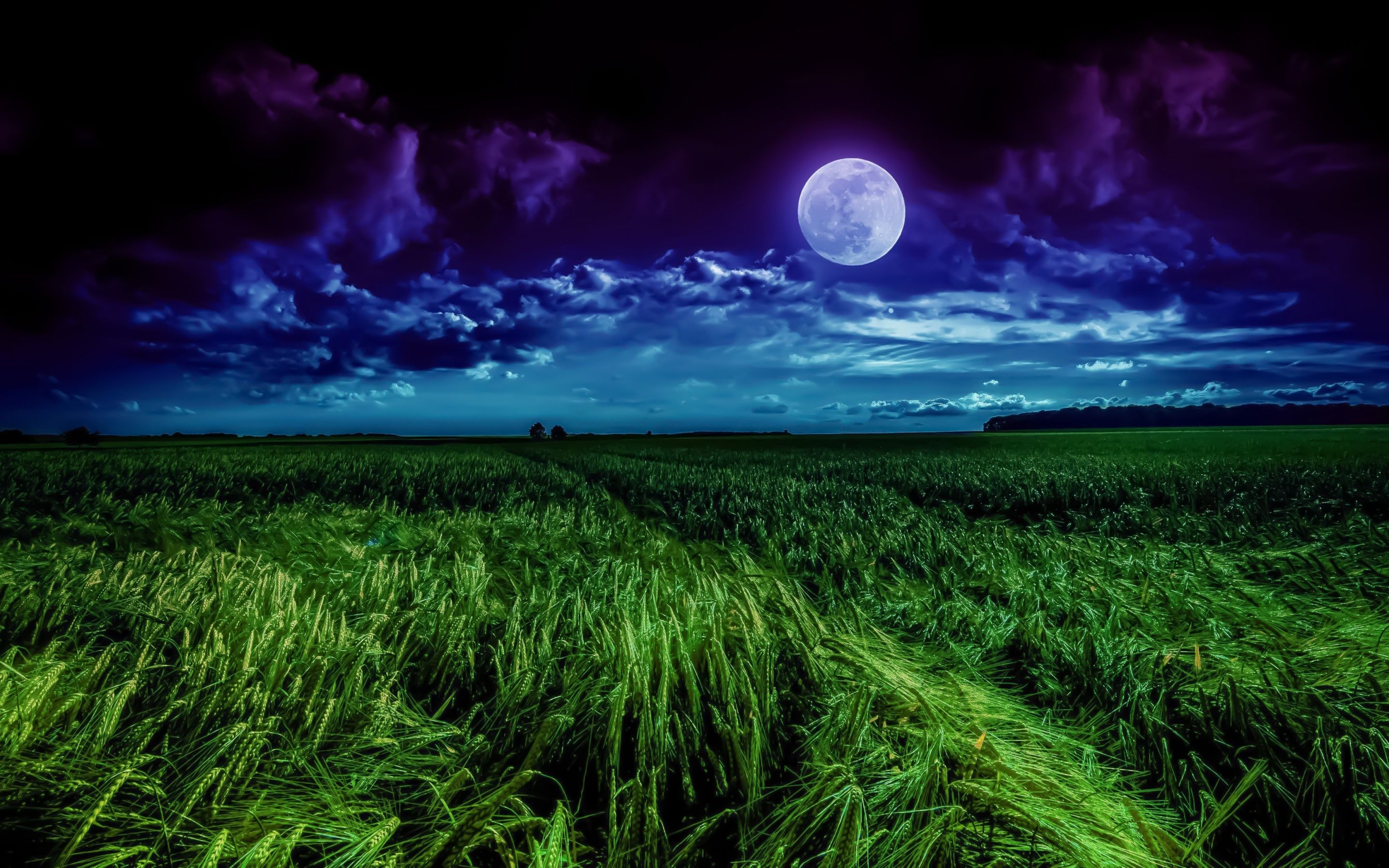 2880x1800 Moon Wallpaper 4K, Landscape, Night, Field, Cloudy