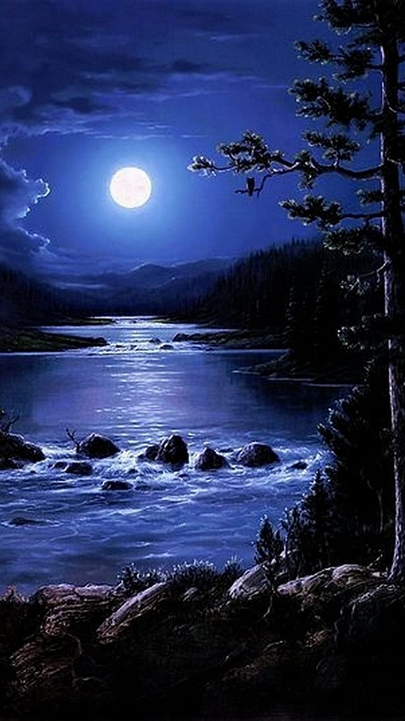 800x1422 Nature moon, nature, night, trees, water, HD phone wallpaper