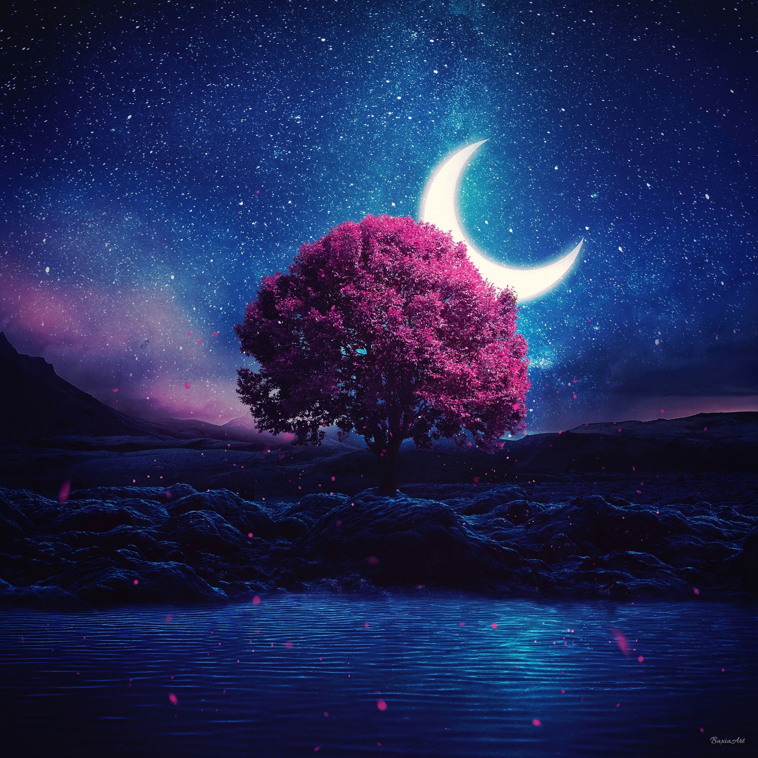 2500x2500 Lone Tree Crescent Moon Half Moon Starry Sky Night Lake Best Free Wallpaper Background Desktop Picture For Apple IPad Tablets And Android HD High Resolution 4K