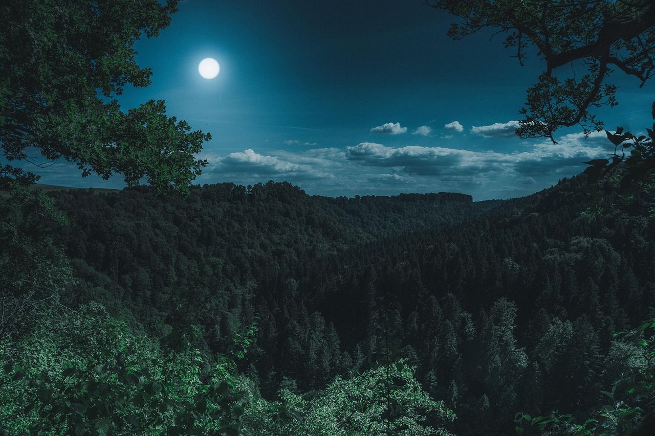 1280x853 Free Moon Forest & Moon Image