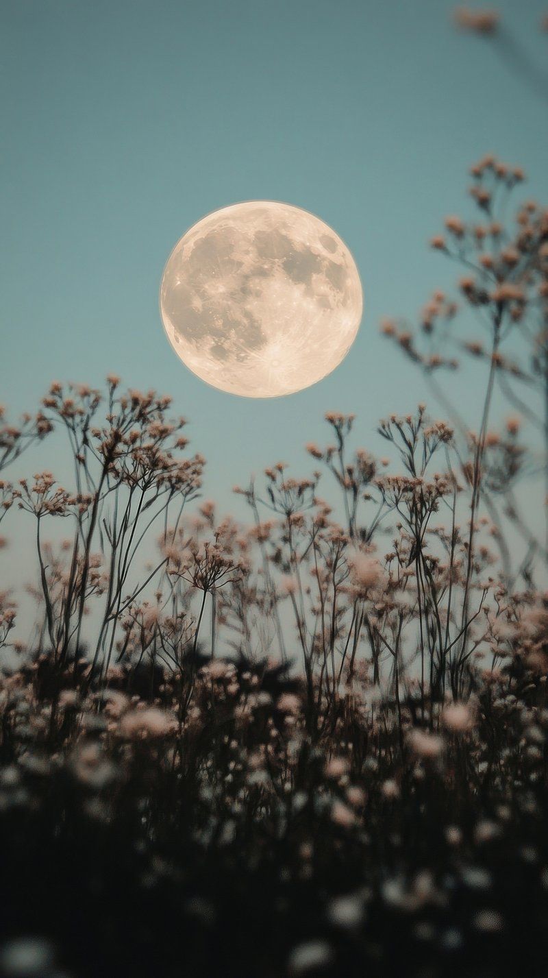 800x1427 Dark Moon Wallpaper Image Wallpaper