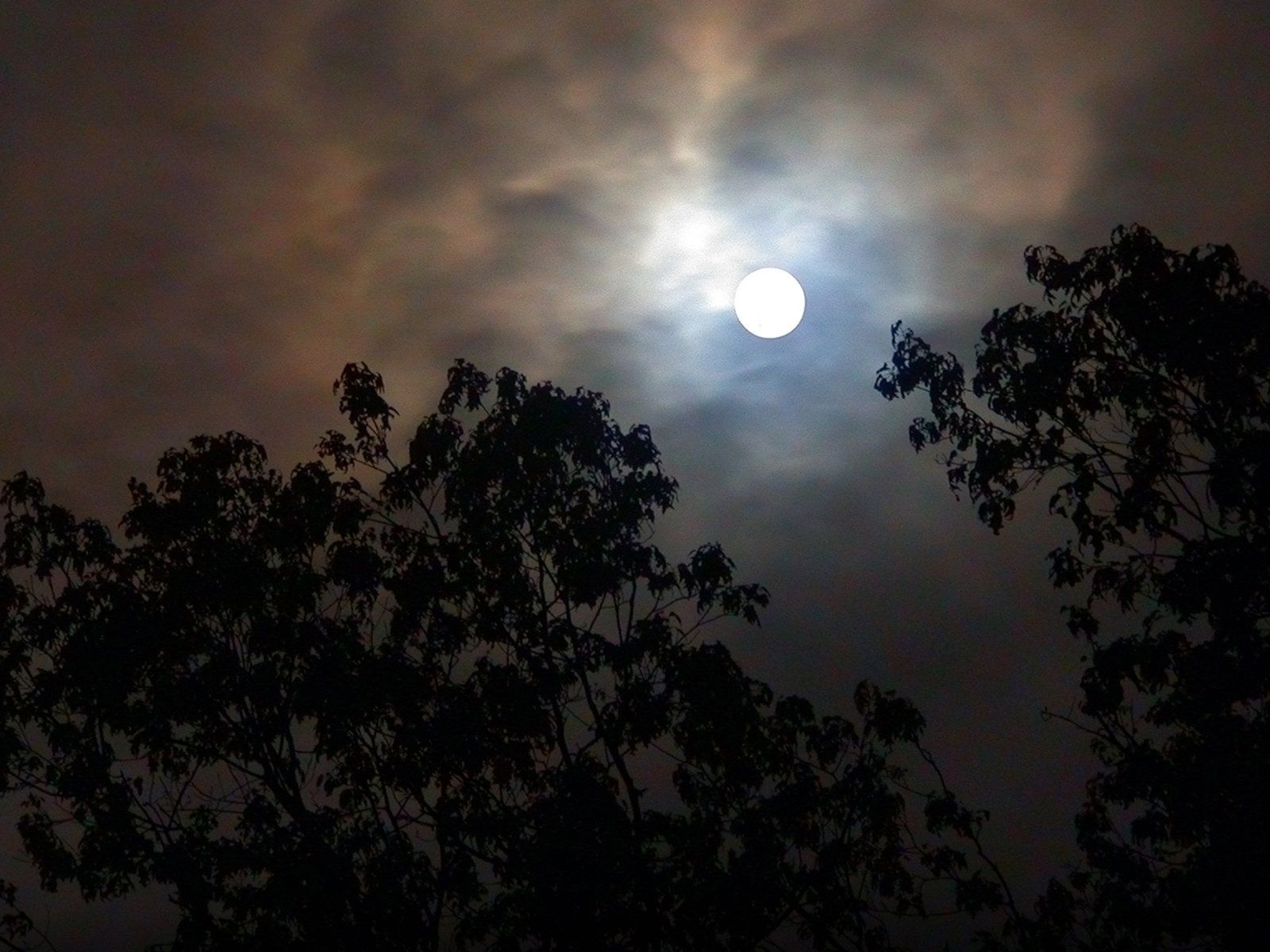 1600x1200 HD Moonlit Nature Escapex1200
