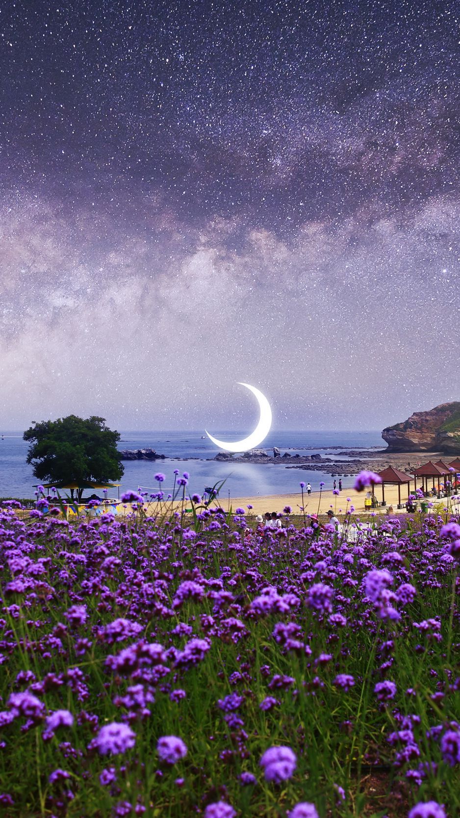 938x1668 Download Wallpaper 938x1668 Moon, Starry Sky, Photohop, Beach, Milky Way, Flowers Iphone 8 7 6s 6 For Parallax HD Background