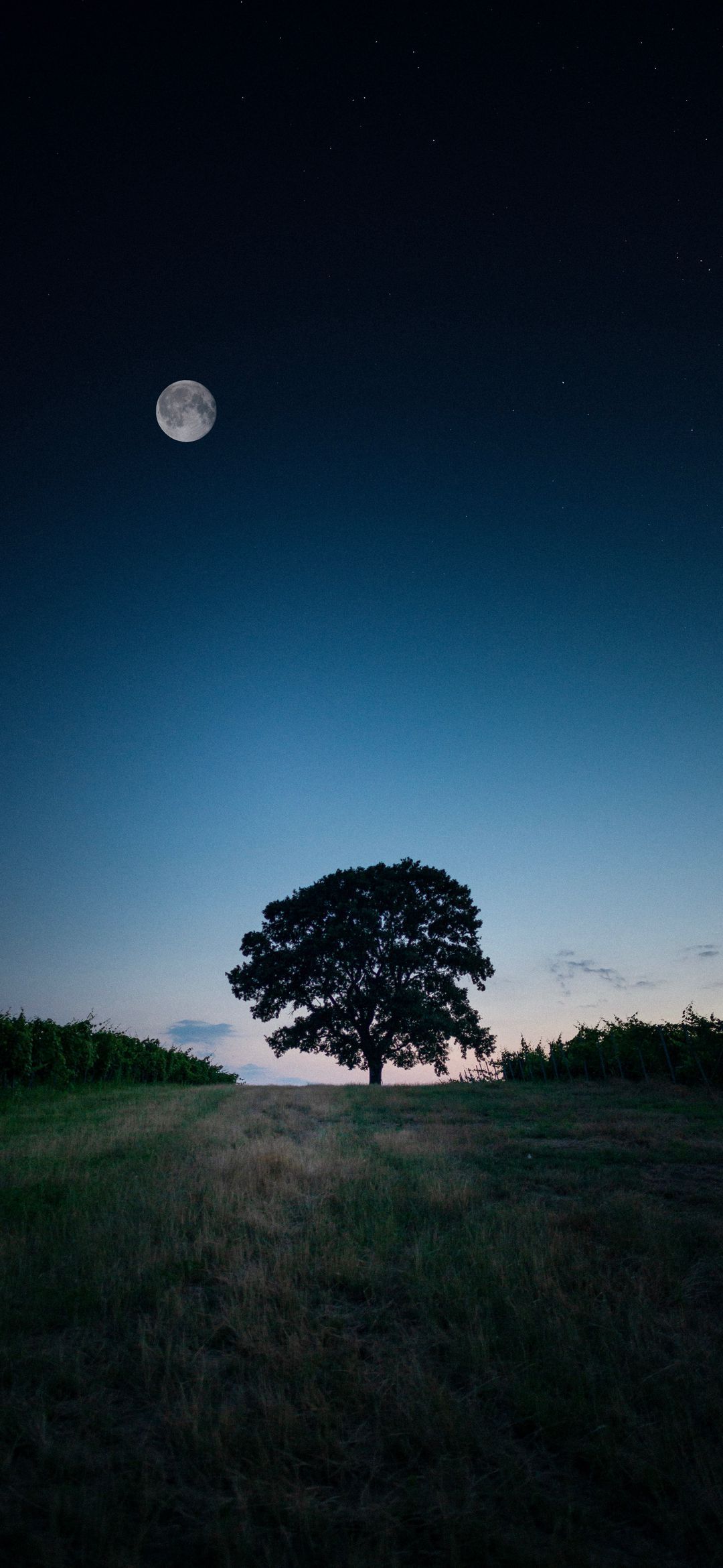 1080x2340 Wallpaper Moon, Cloud, Plant, Atmosphere, Nature, Background Free Image