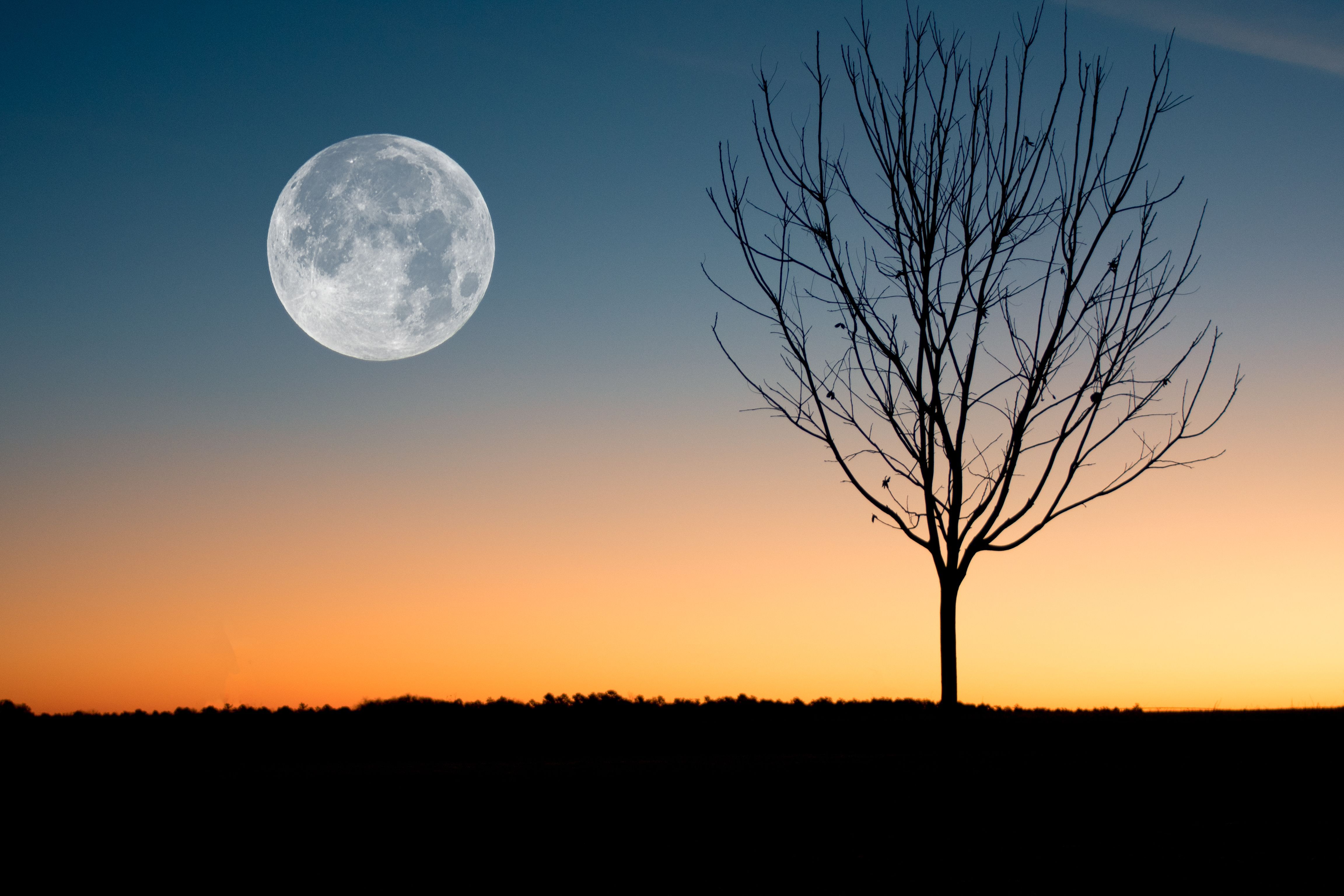 4608x3072 Full Moon on a Daybreak · Free