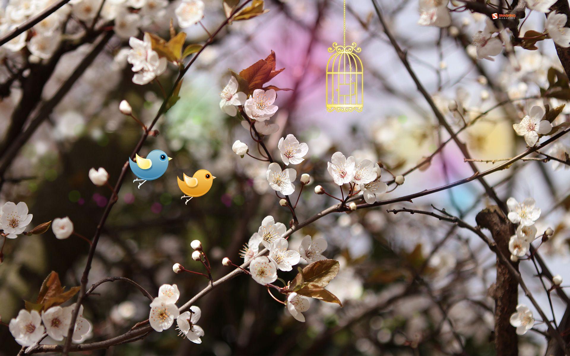 1920x1200 Welcome Spring Wallpaper