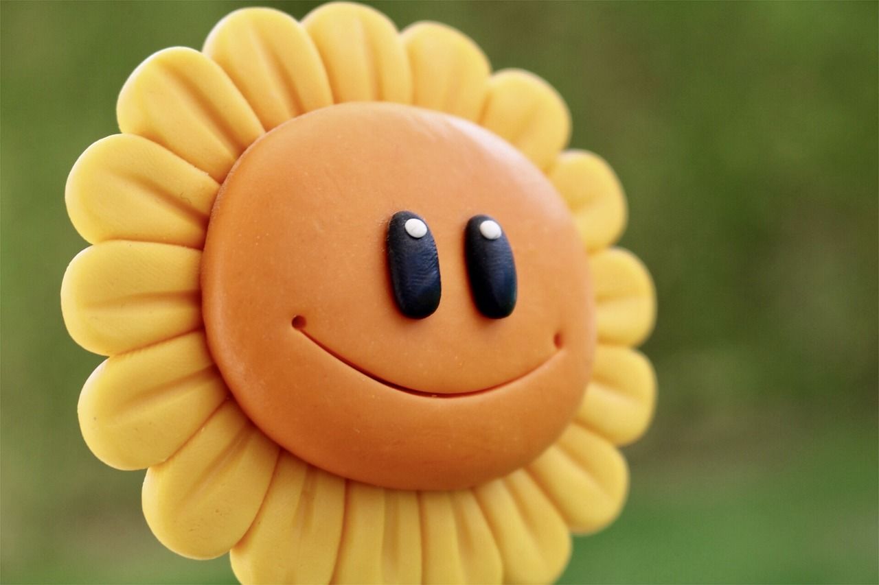 1280x853 Fun Good Mood Sunflower