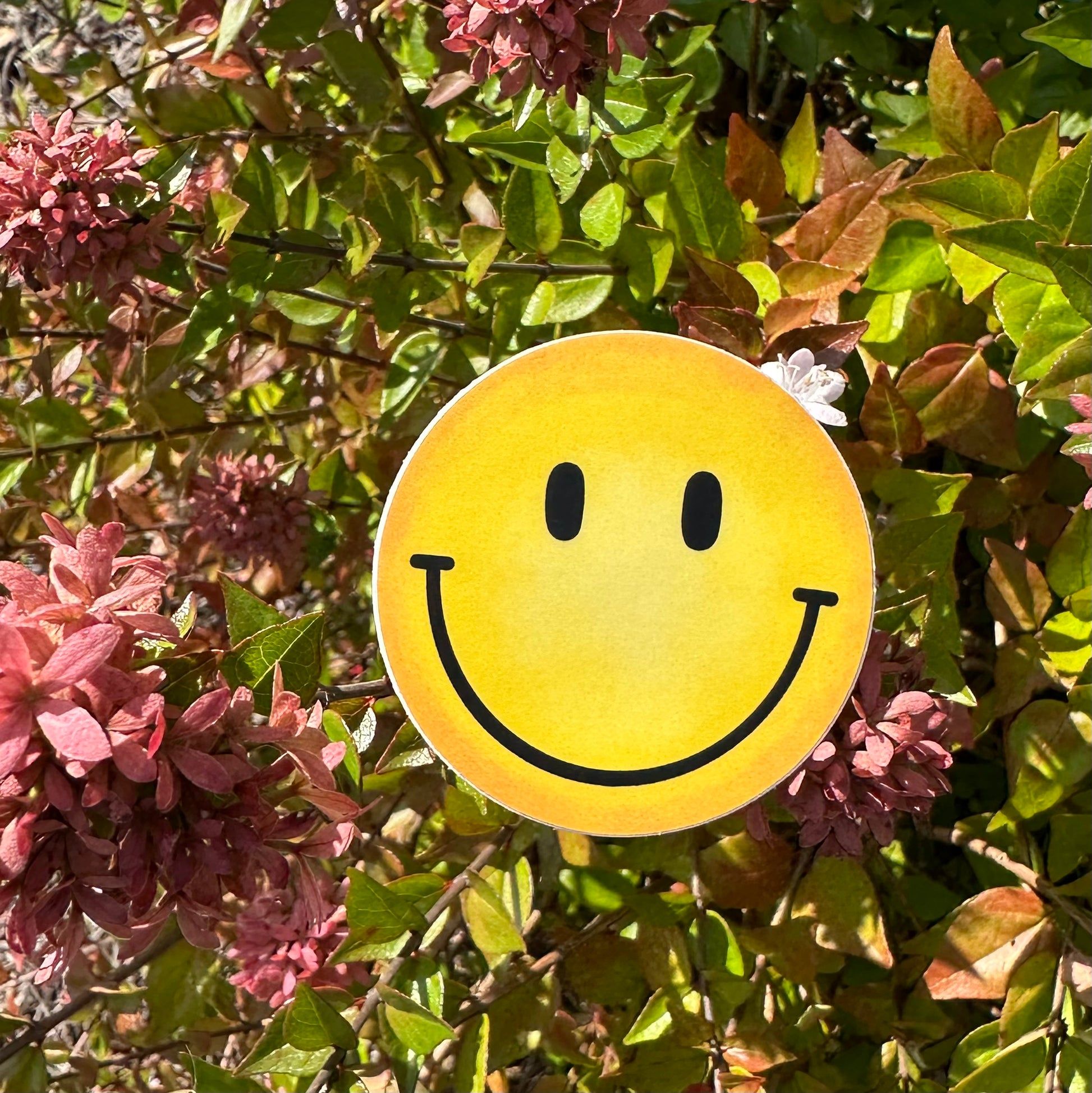 1946x1948 Smiley Sticker