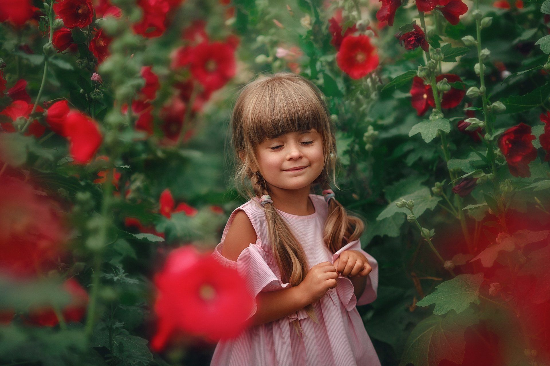 1920x1280 Download Mallow Pigtail Dress Smile Flower Photography Child HD Wallpaperx1700