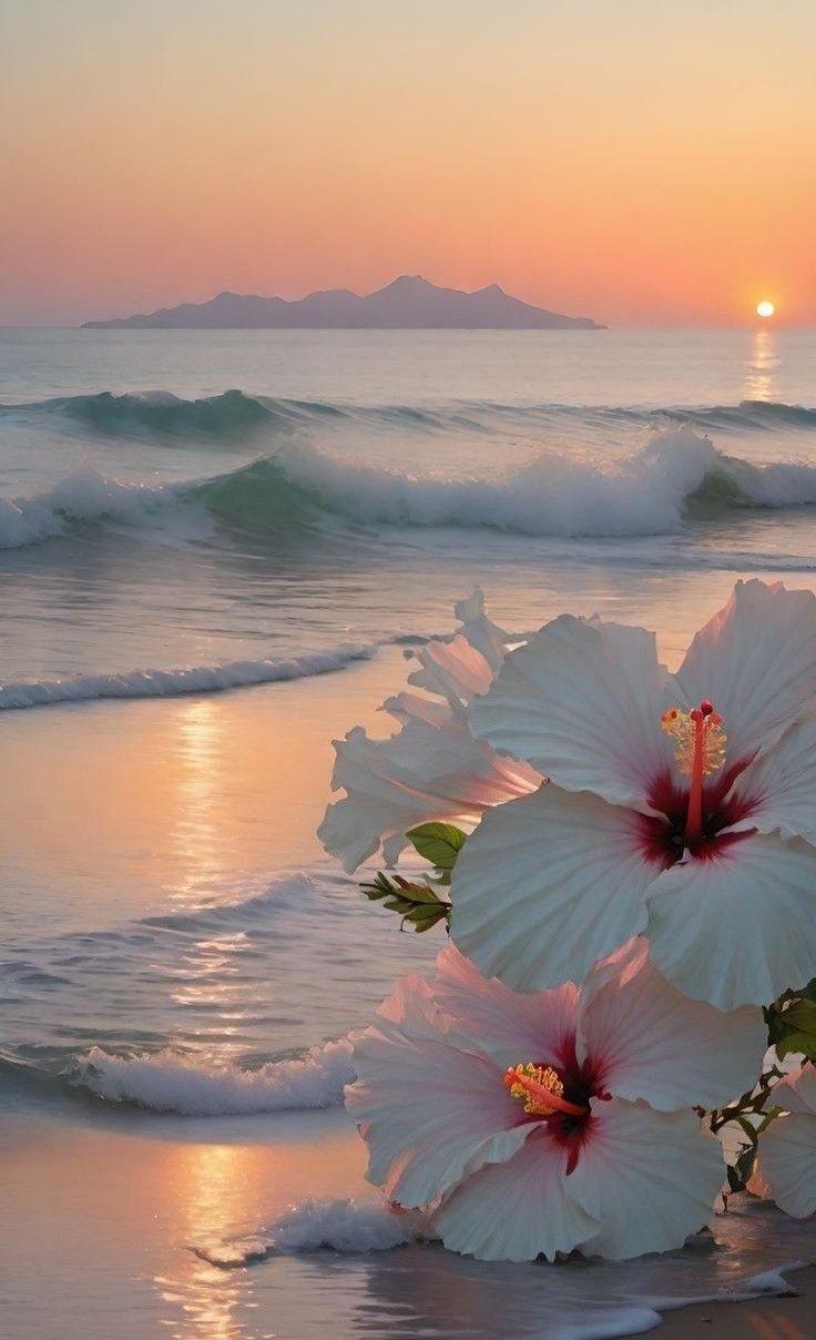 736x1208 Fotos de playas paradisiacas. Fondos de mimi, Paisaje verano, Flores bonitas