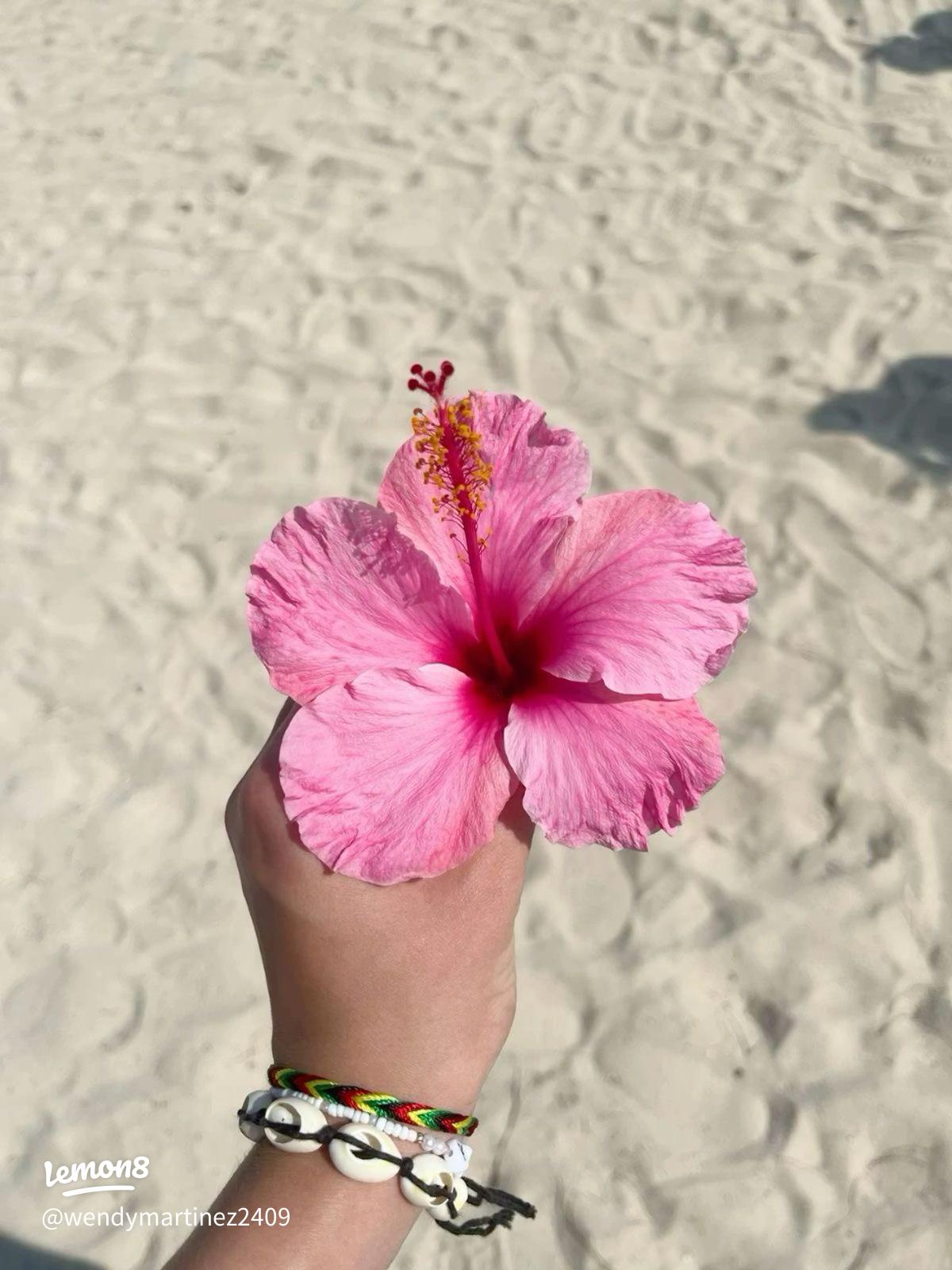 1200x1600 My Fave Hawaiian Flowers: Aesthetic Beach & Wallpaper Inspiration