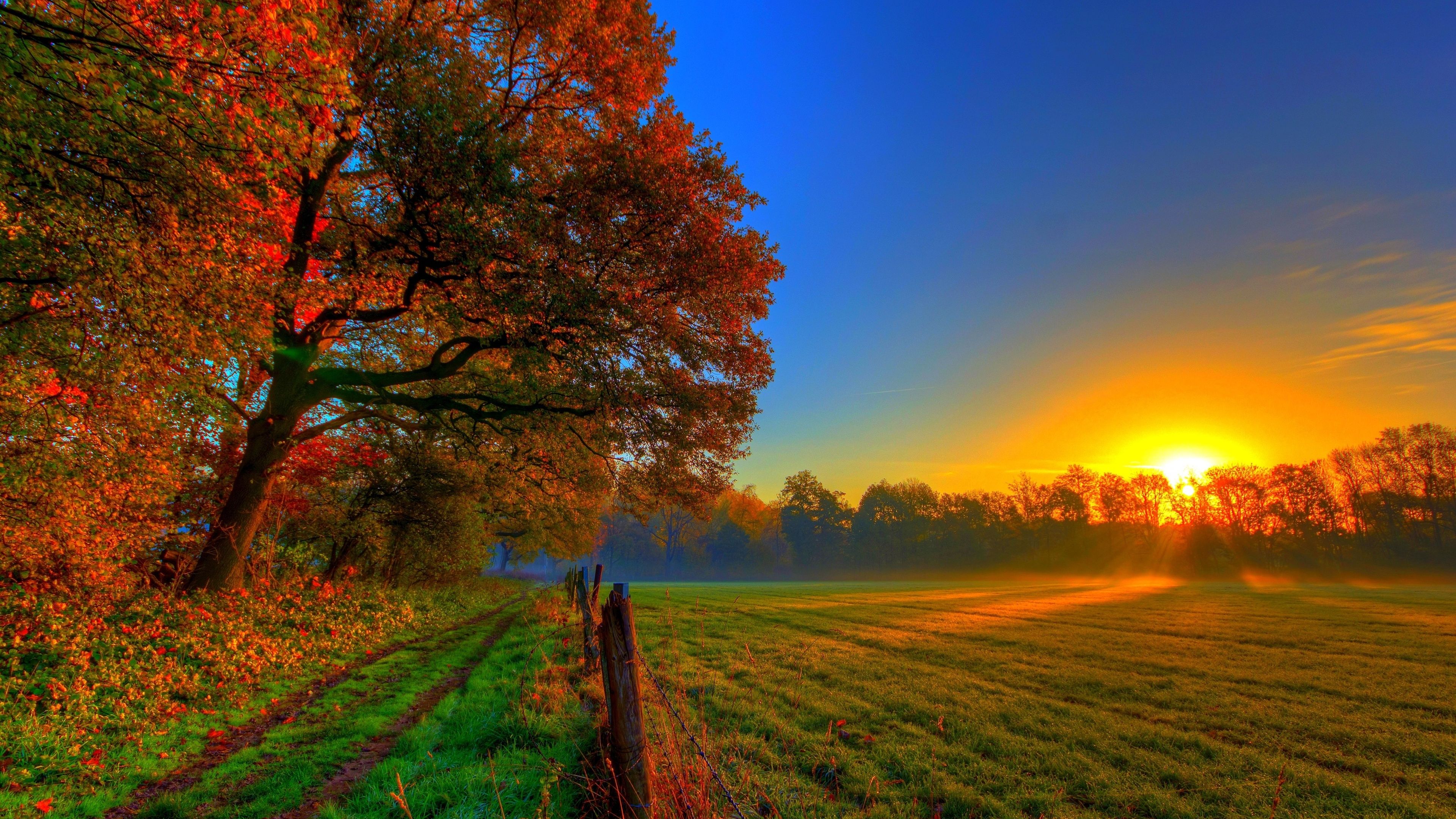 3840x2160 4K Ultra HD Fall Sunset in Nature Wallpaperx2160
