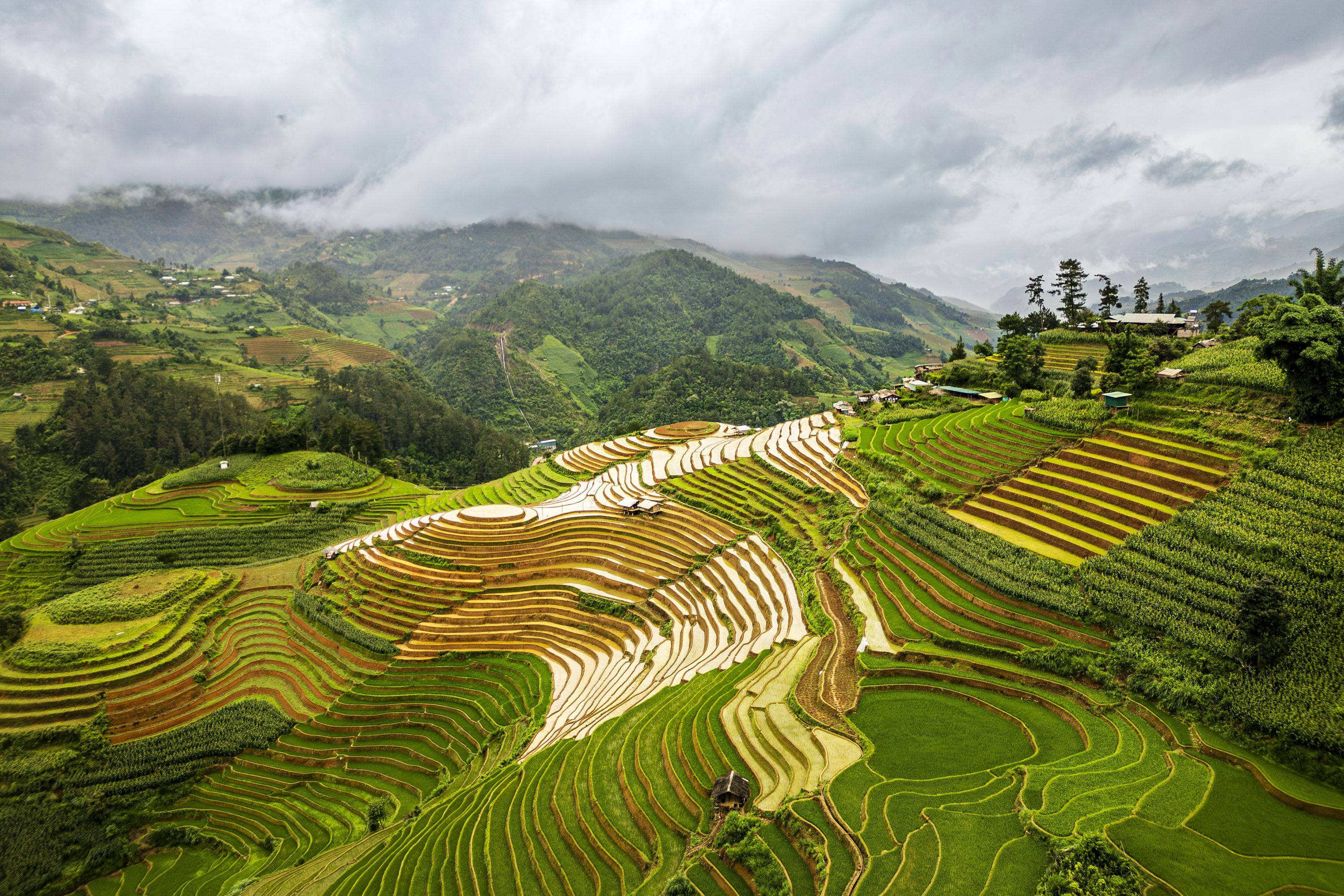 3000x2000 Terraced rice fields cascade down a green mountain. photo