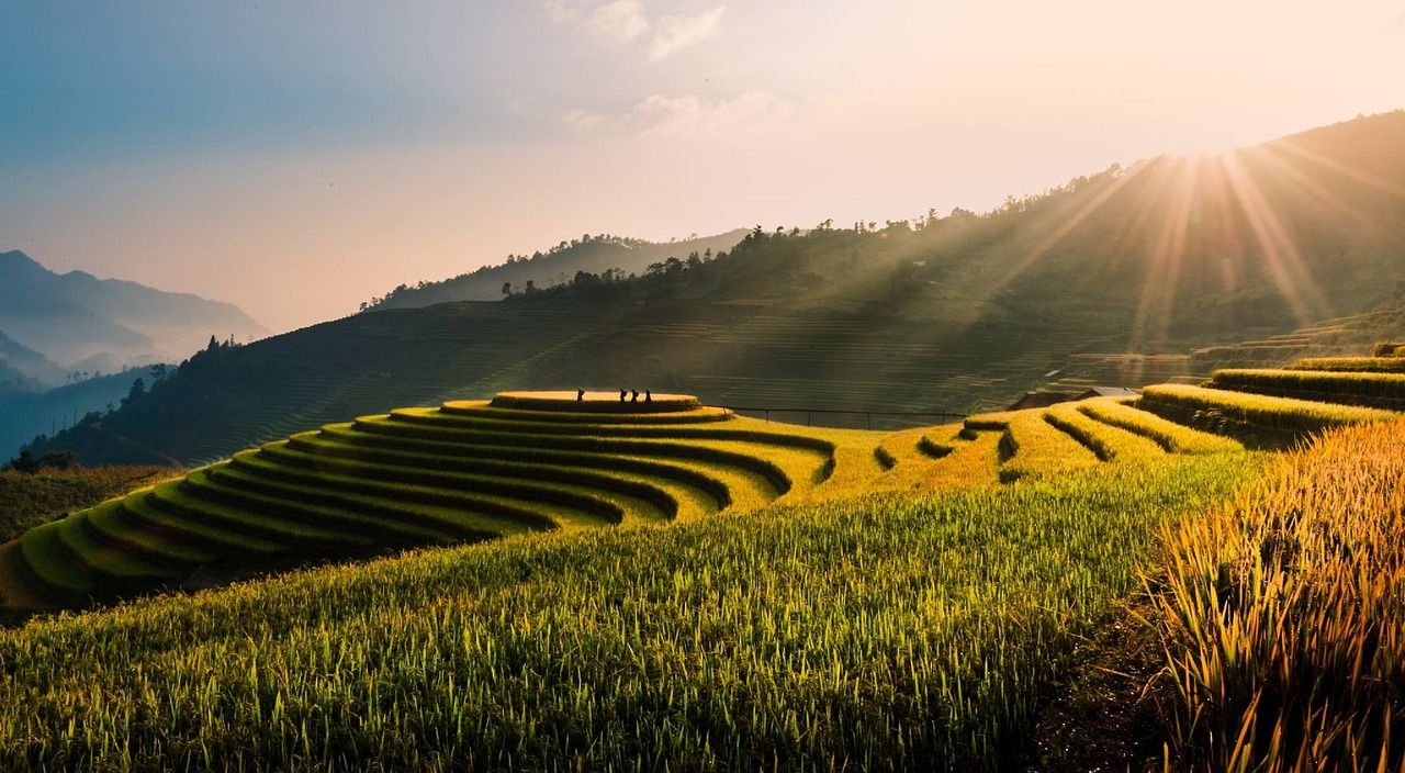 1280x704 Free Terraces Rice Field & Vietnam Image