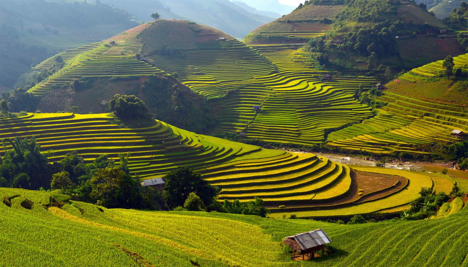 1500x857 The Gorgeous Rice Terraces of Vietnam