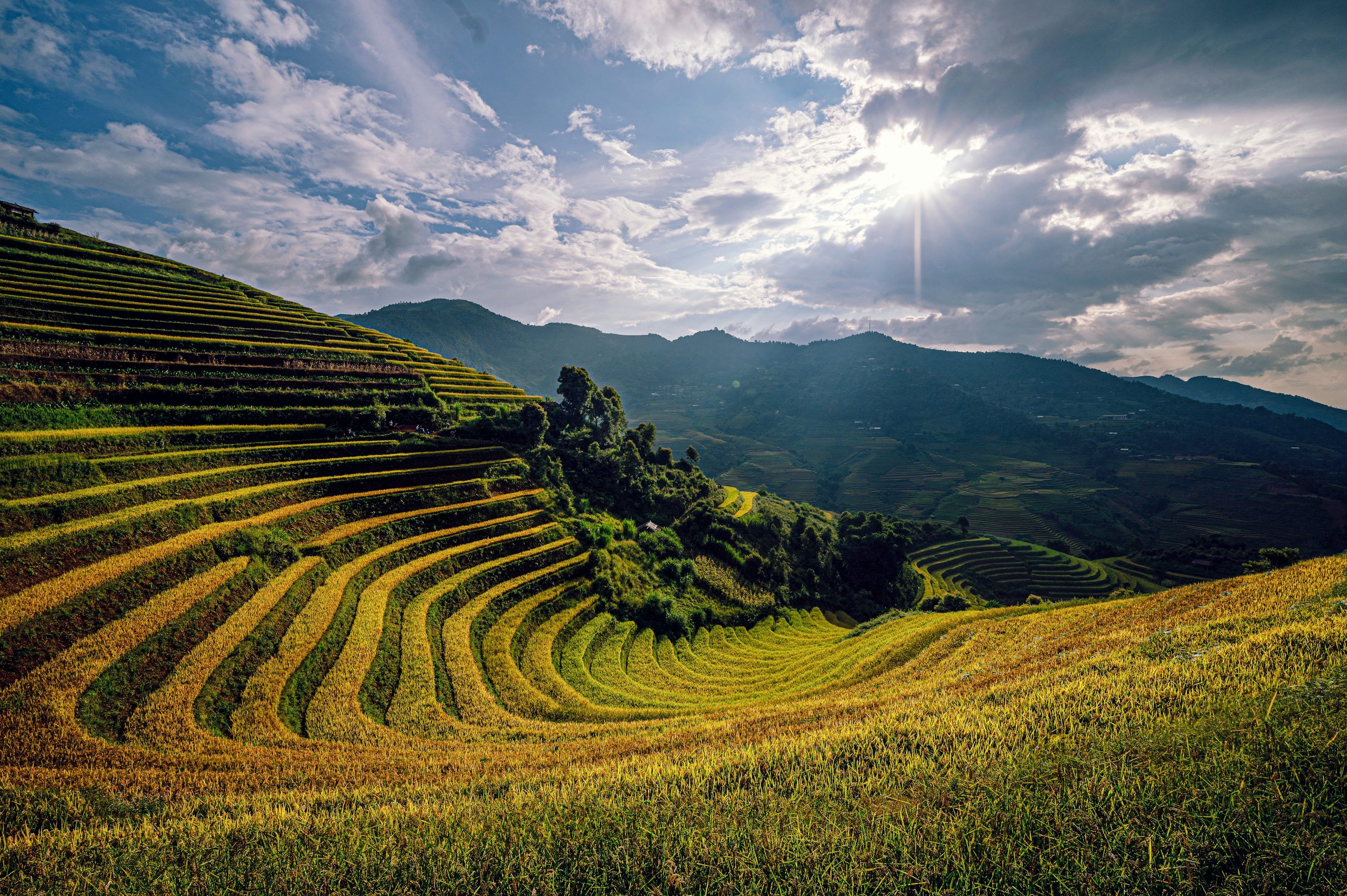 3000x1996 Terraced Fields Picture. Download Free Image