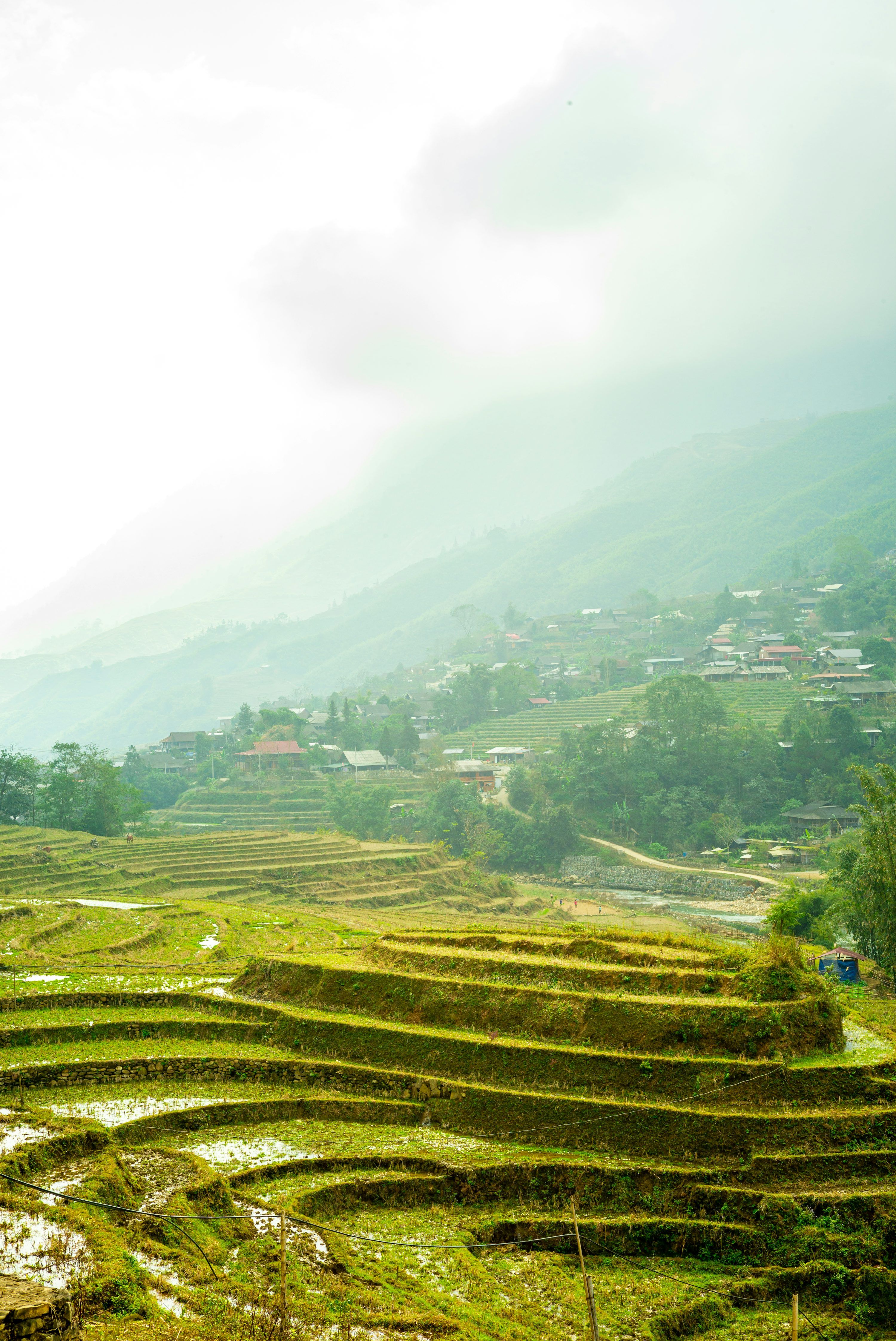 3000x4491 Terraced rice fields in a misty mountain village. photo