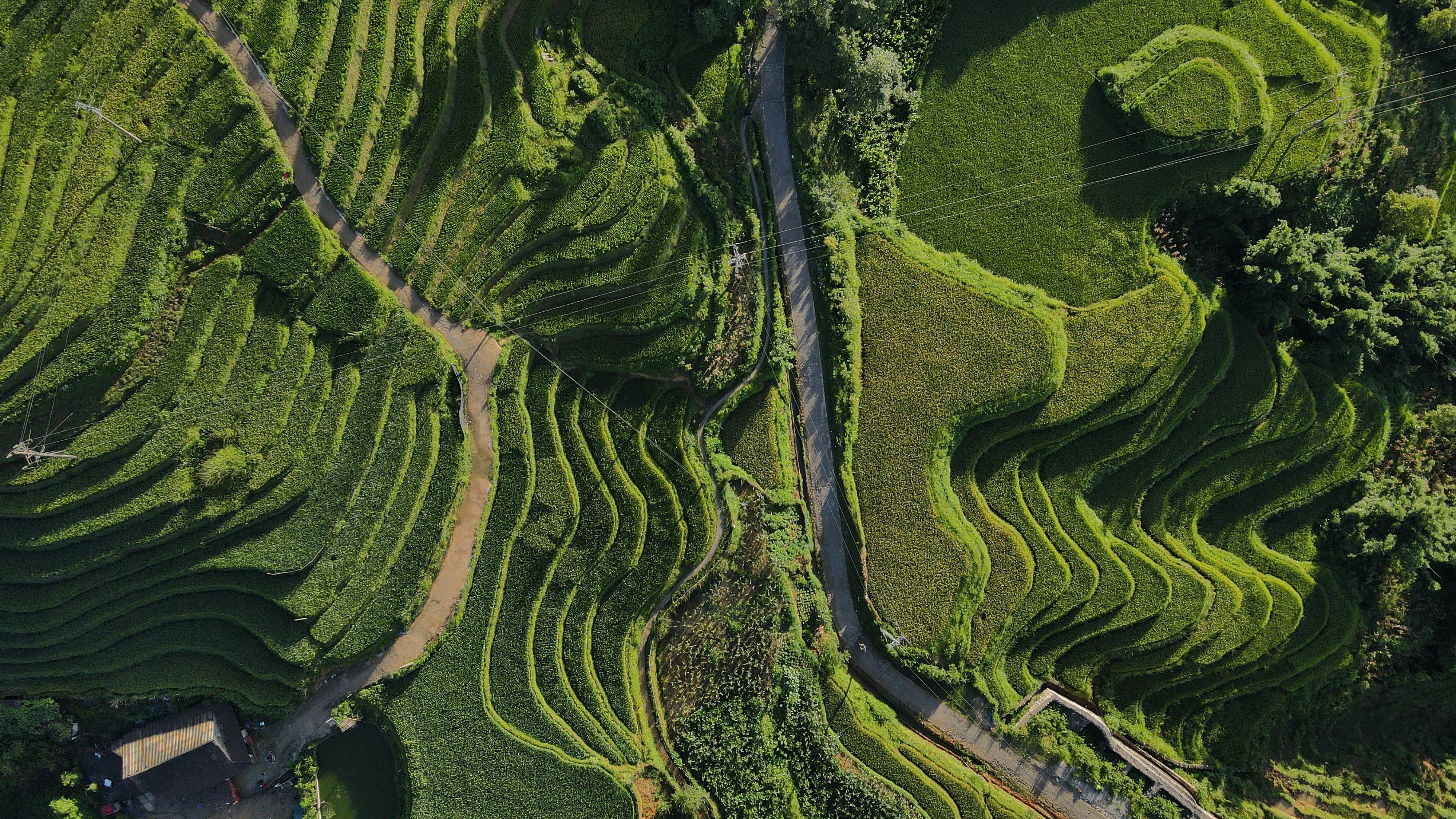 4000x2250 Aerial view of rice terraces in the mountains · Free